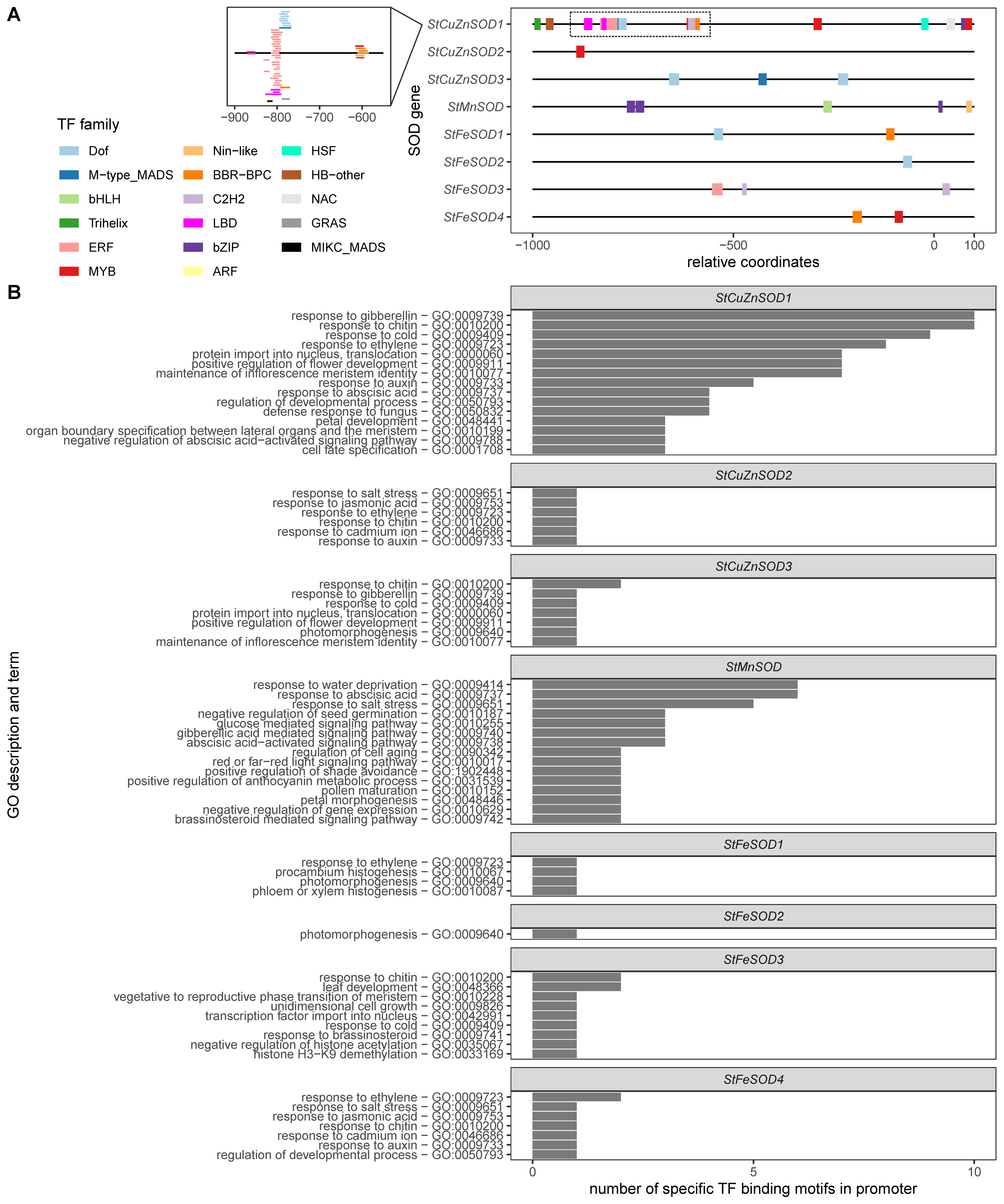 Antioxidants 11 00488 g002