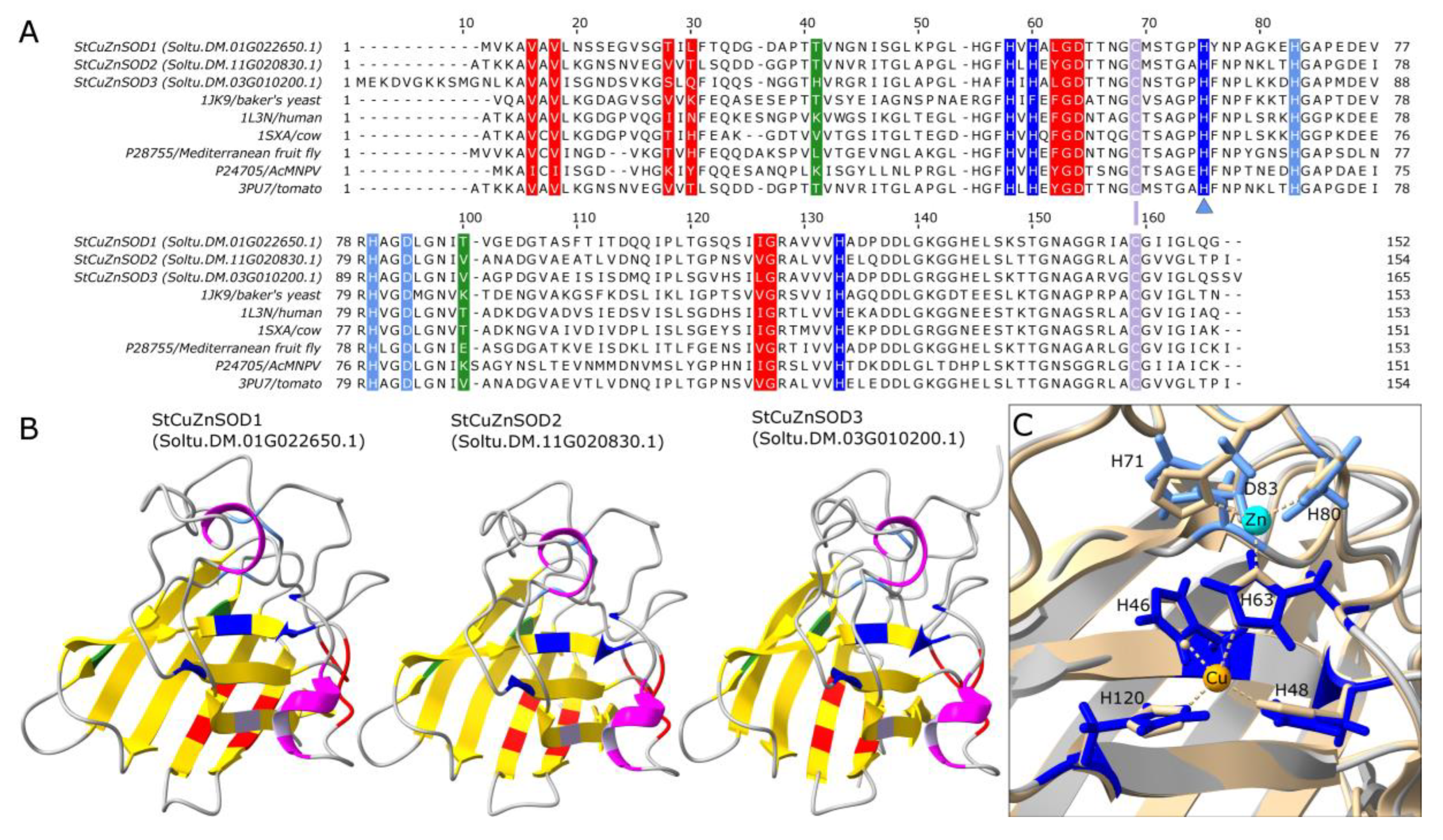 Antioxidants 11 00488 g004
