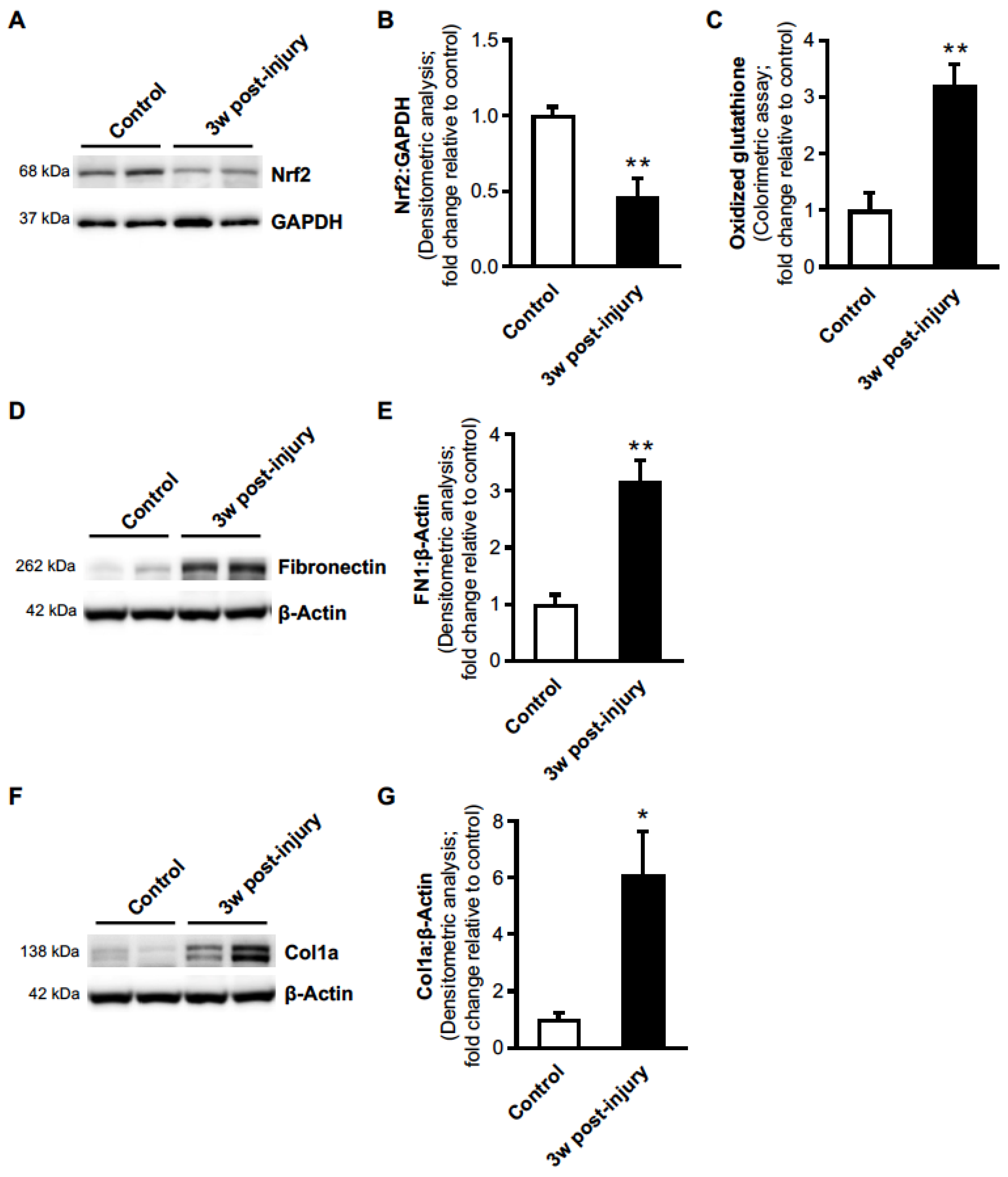 Antioxidants 11 00492 g002
