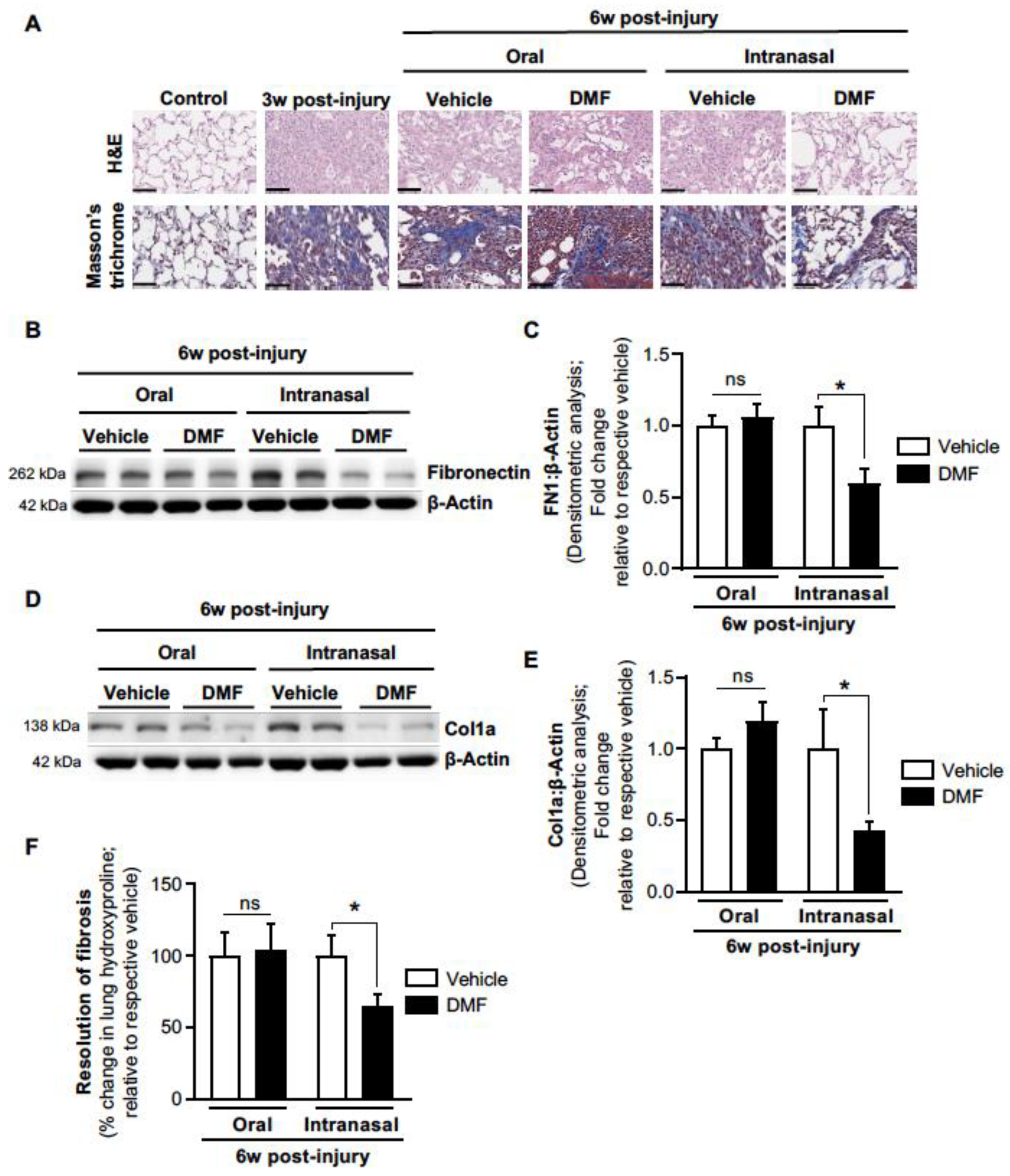 Antioxidants 11 00492 g004
