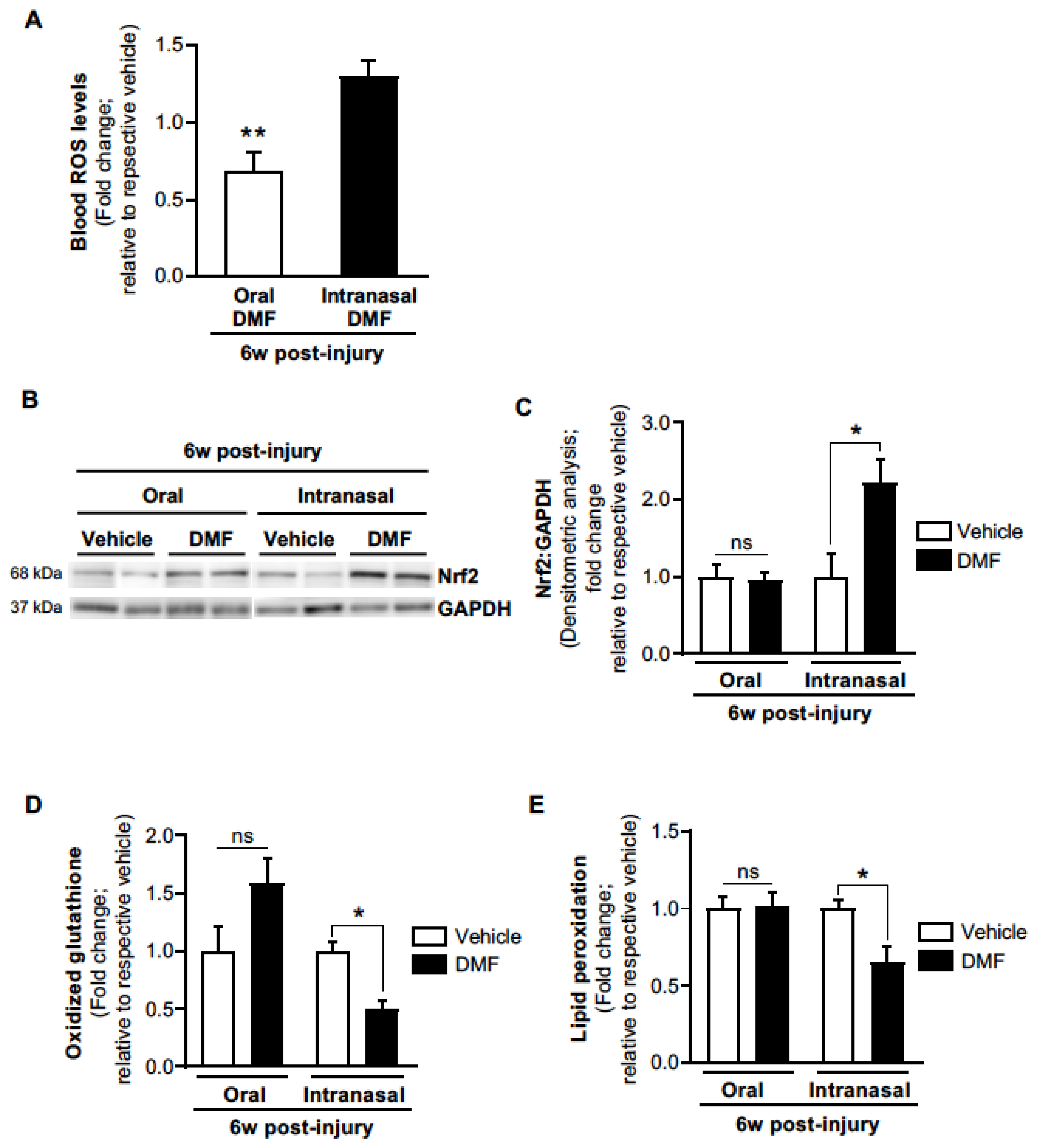 Antioxidants 11 00492 g005