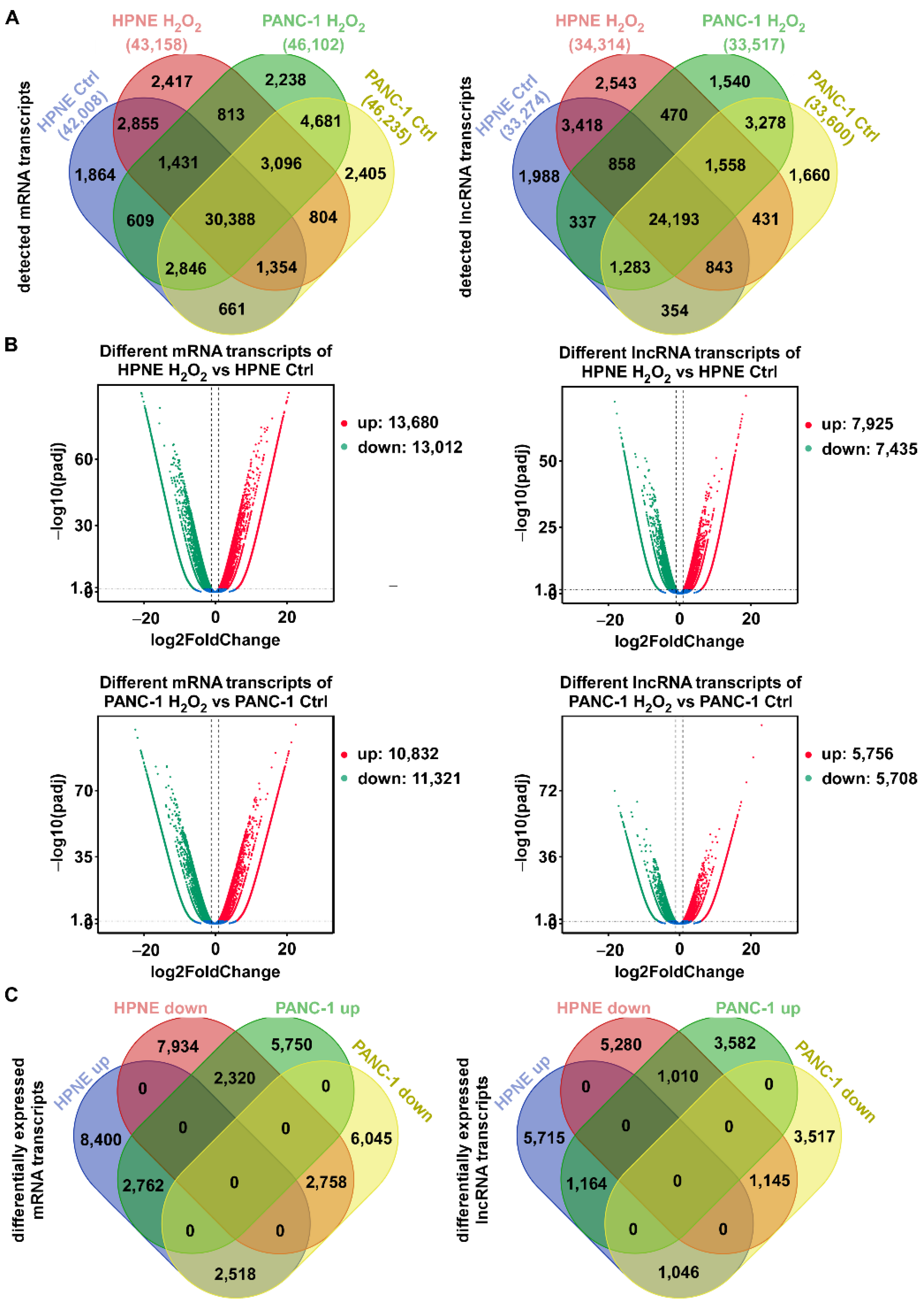Antioxidants 11 00495 g001