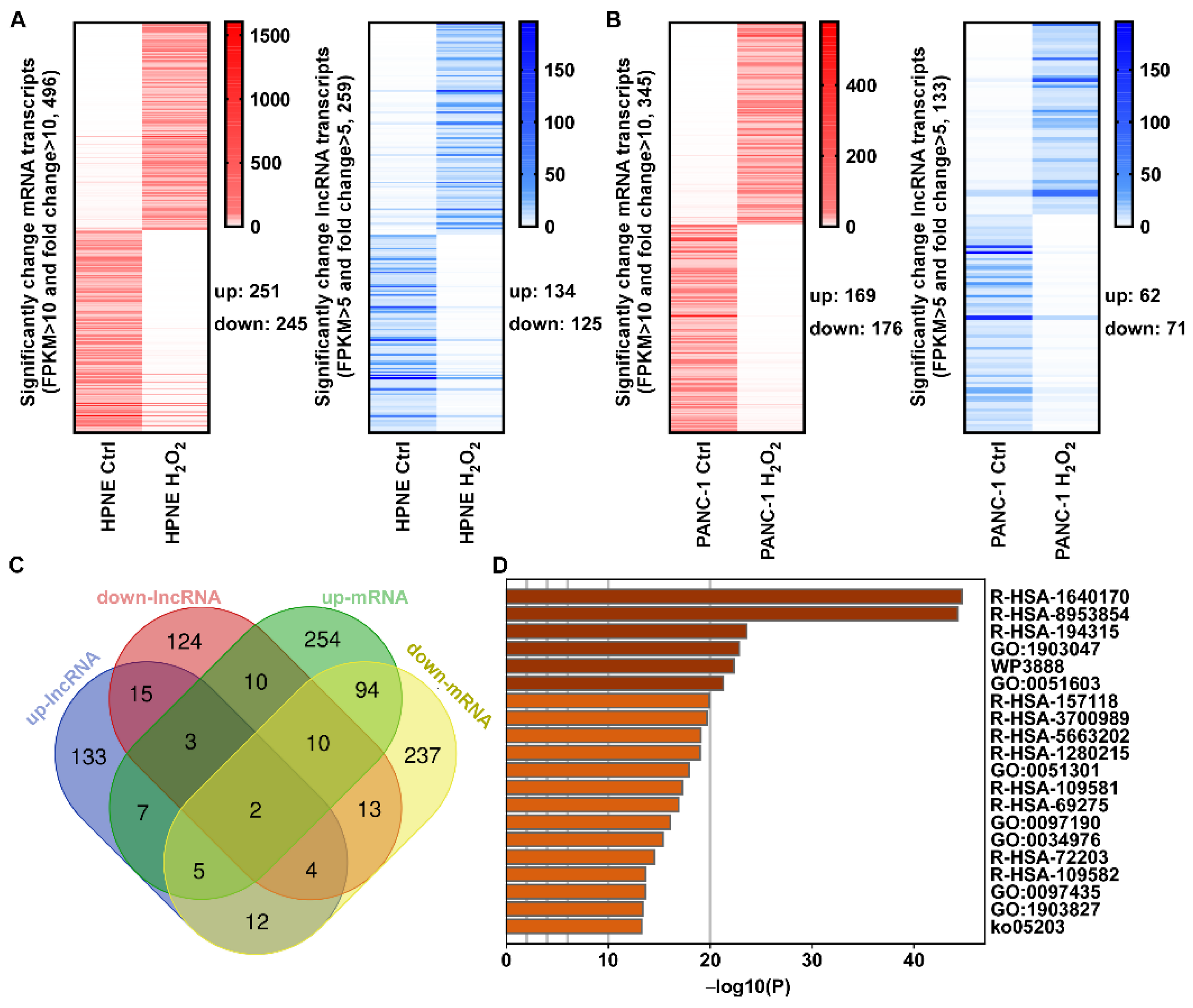 Antioxidants 11 00495 g004