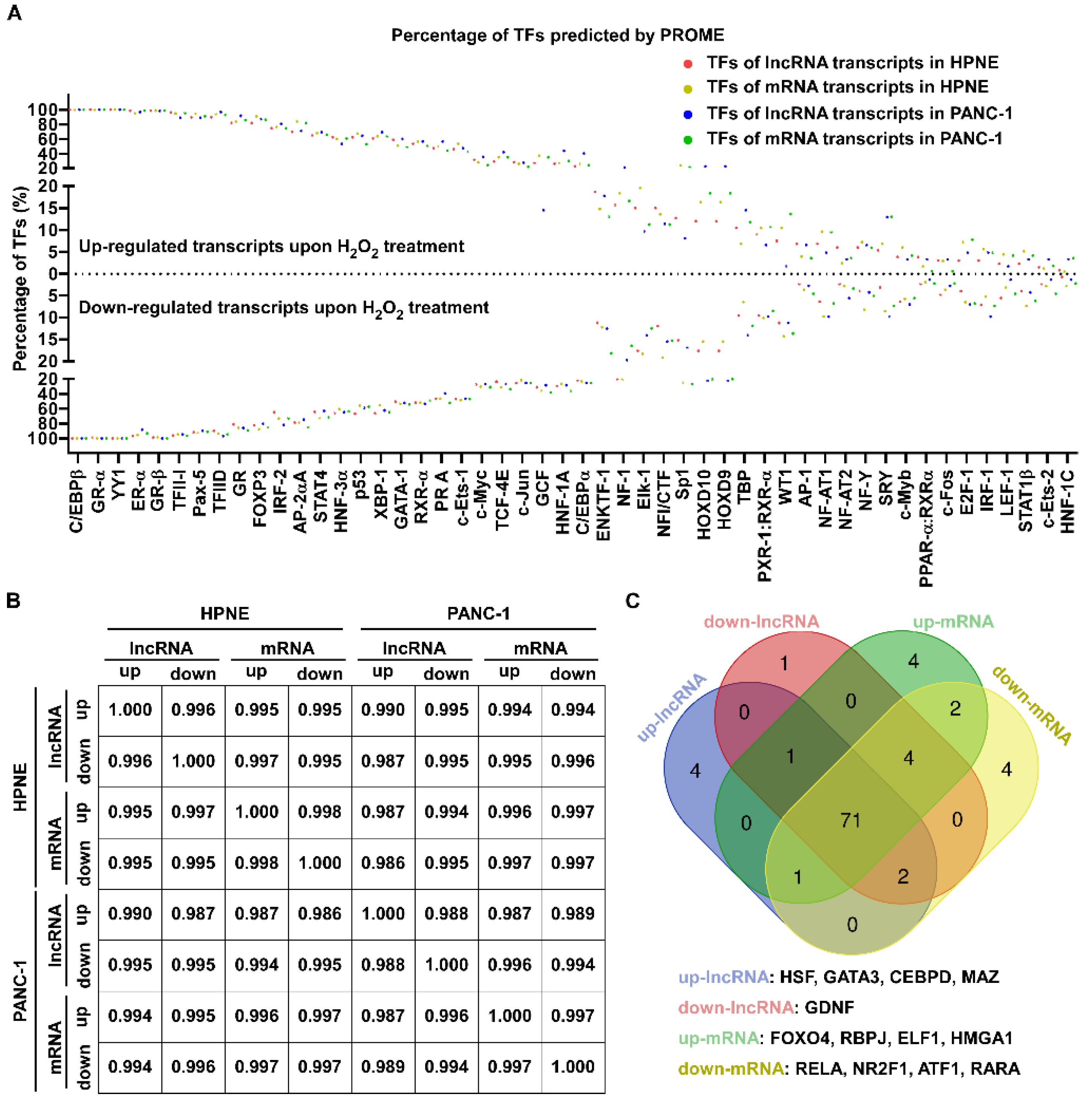 Antioxidants 11 00495 g005