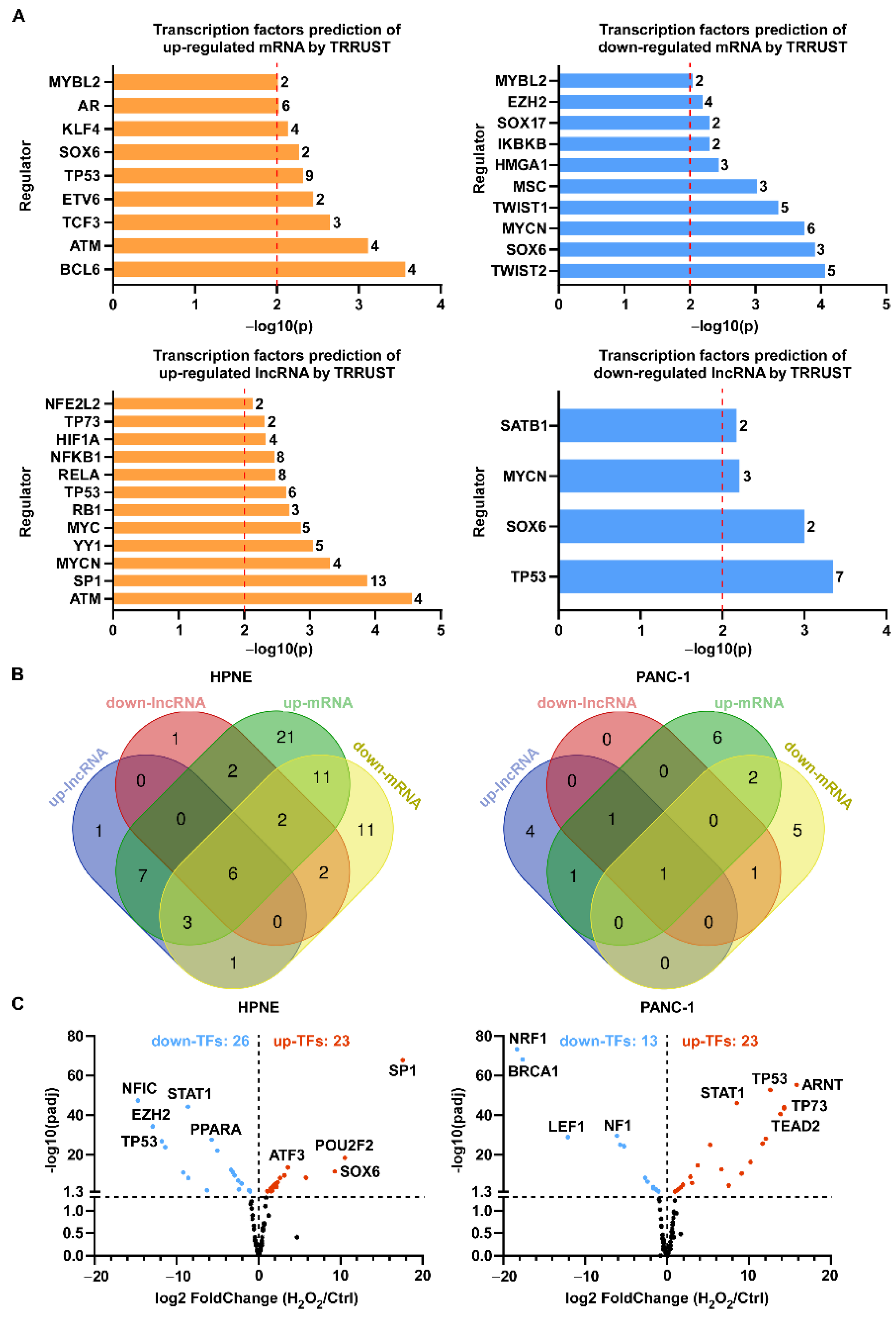 Antioxidants 11 00495 g006