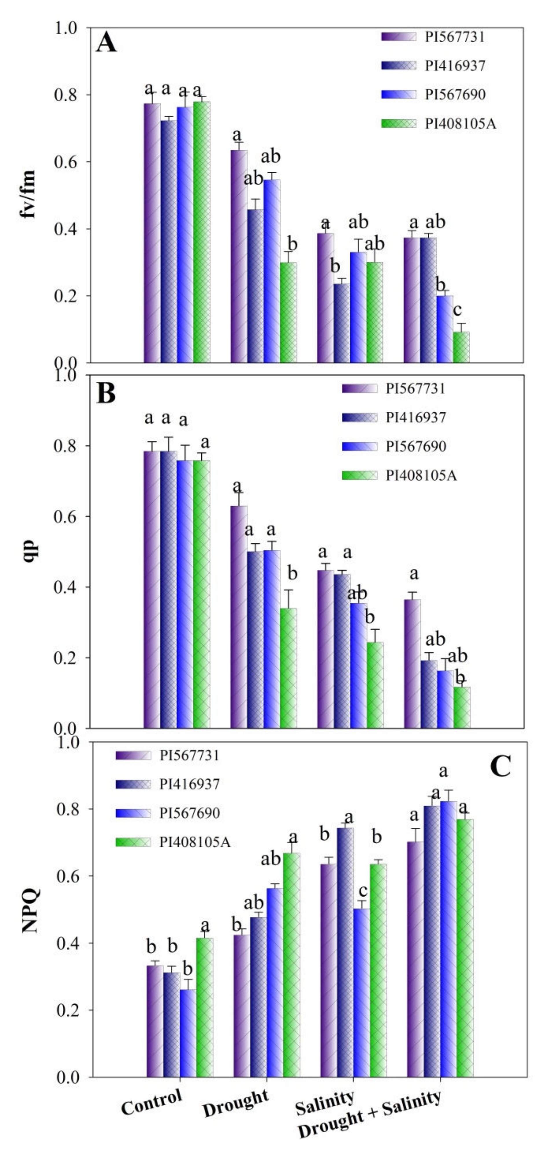 Antioxidants 11 00498 g004