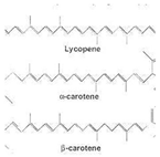 Antioxidants 11 00505 i004