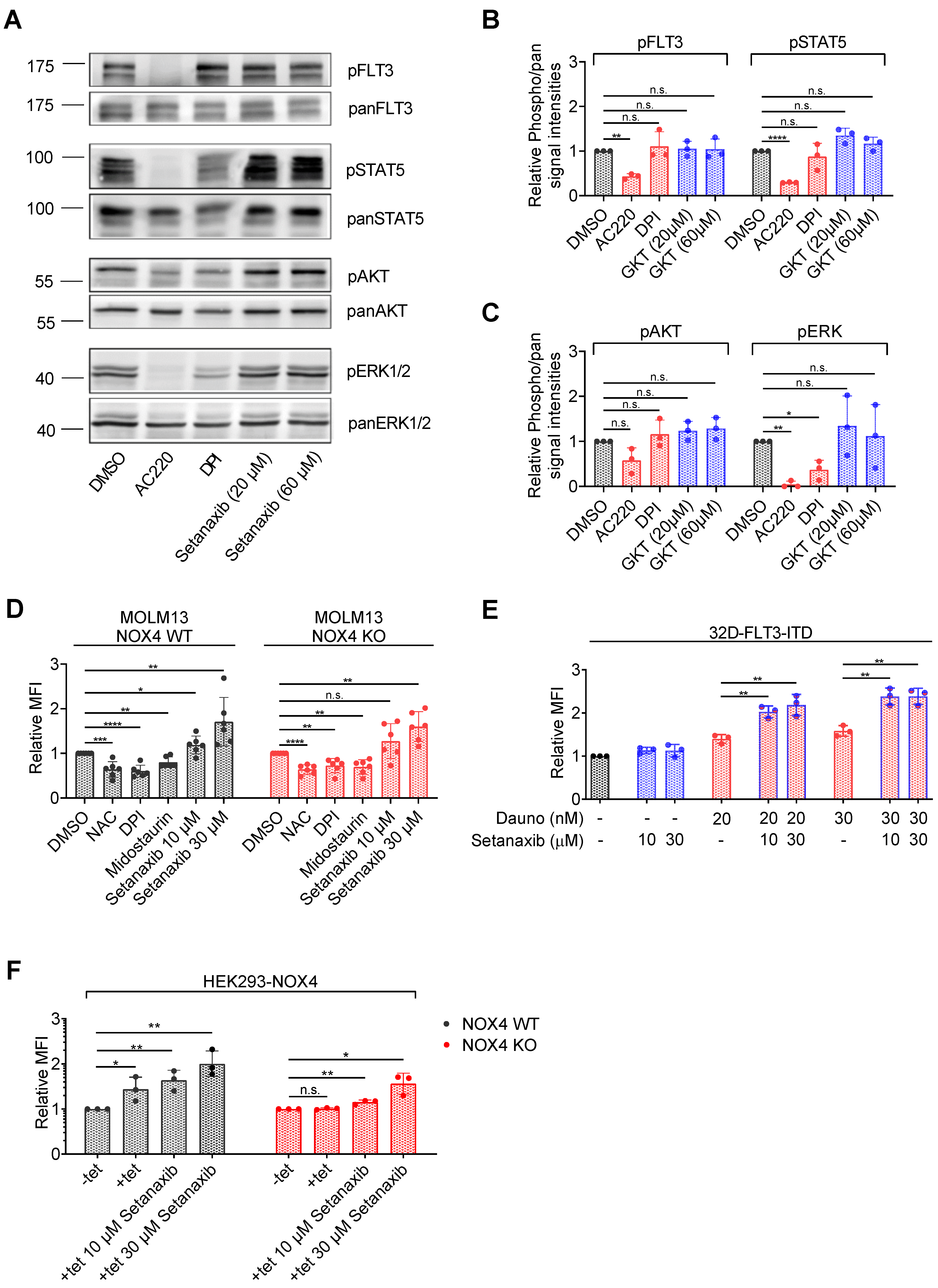 Antioxidants 11 00513 g005