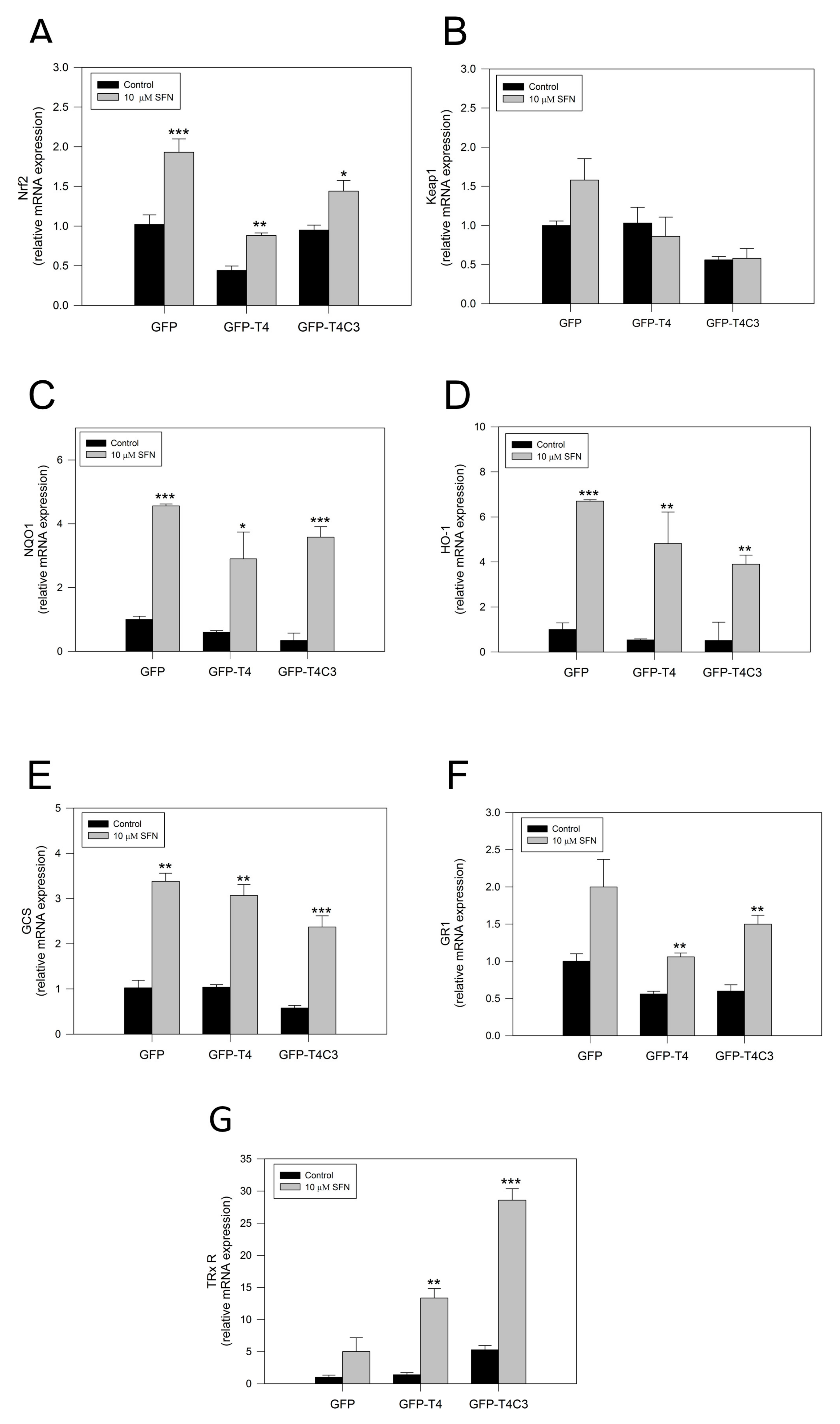 Antioxidants 11 00515 g004
