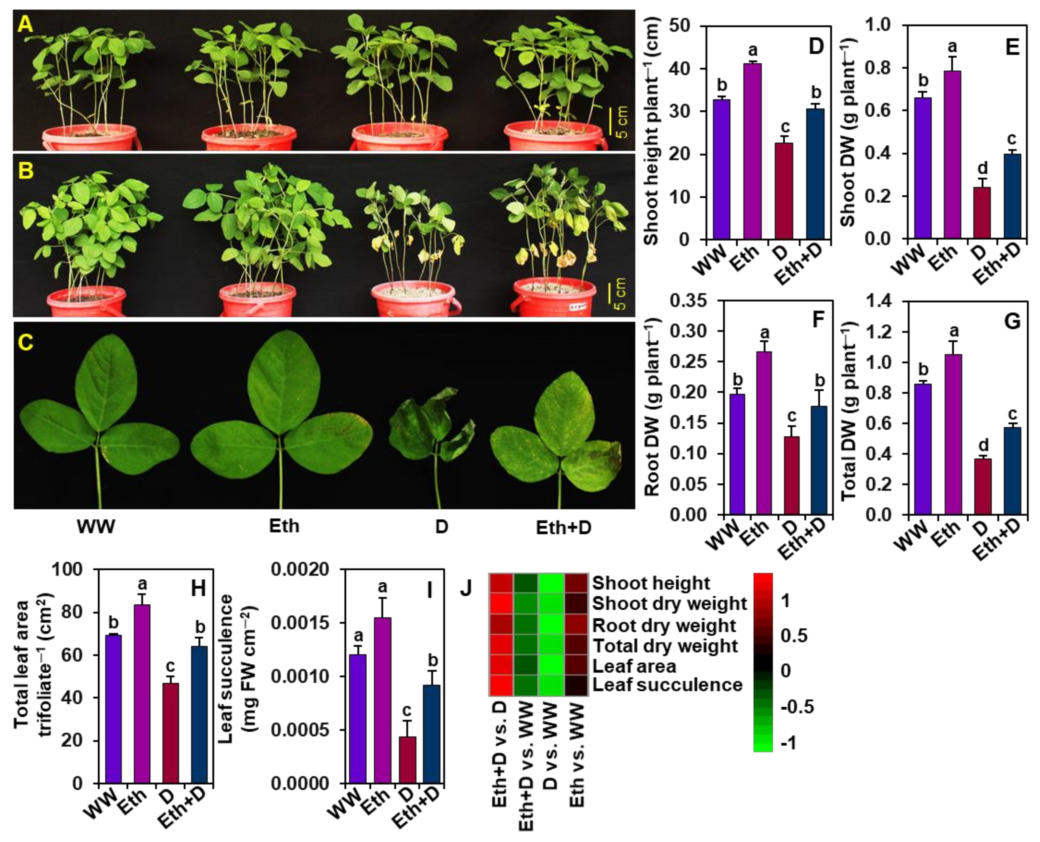 Antioxidants 11 00516 g001