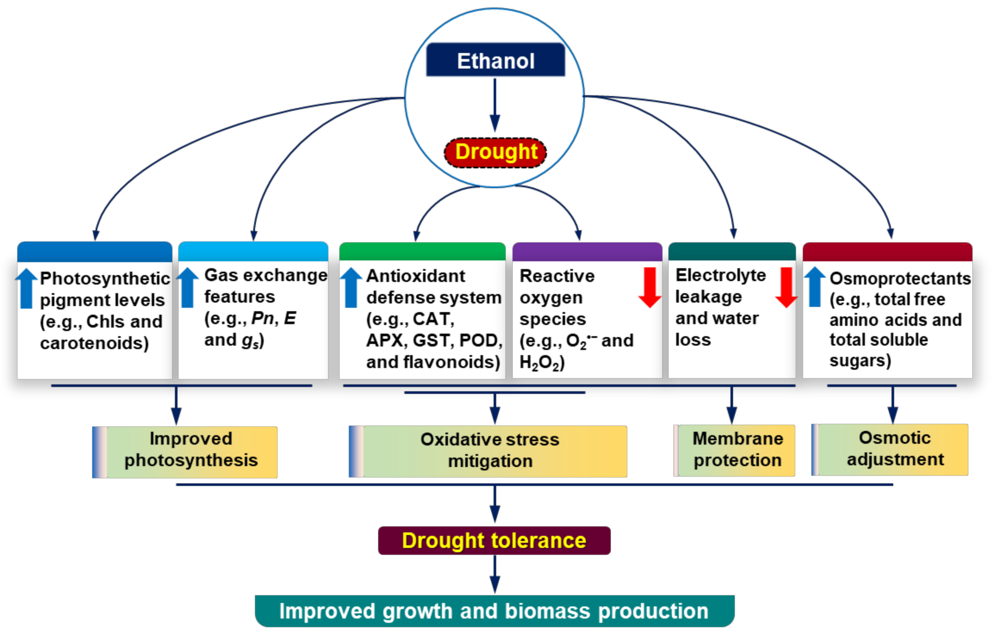 Antioxidants 11 00516 g007