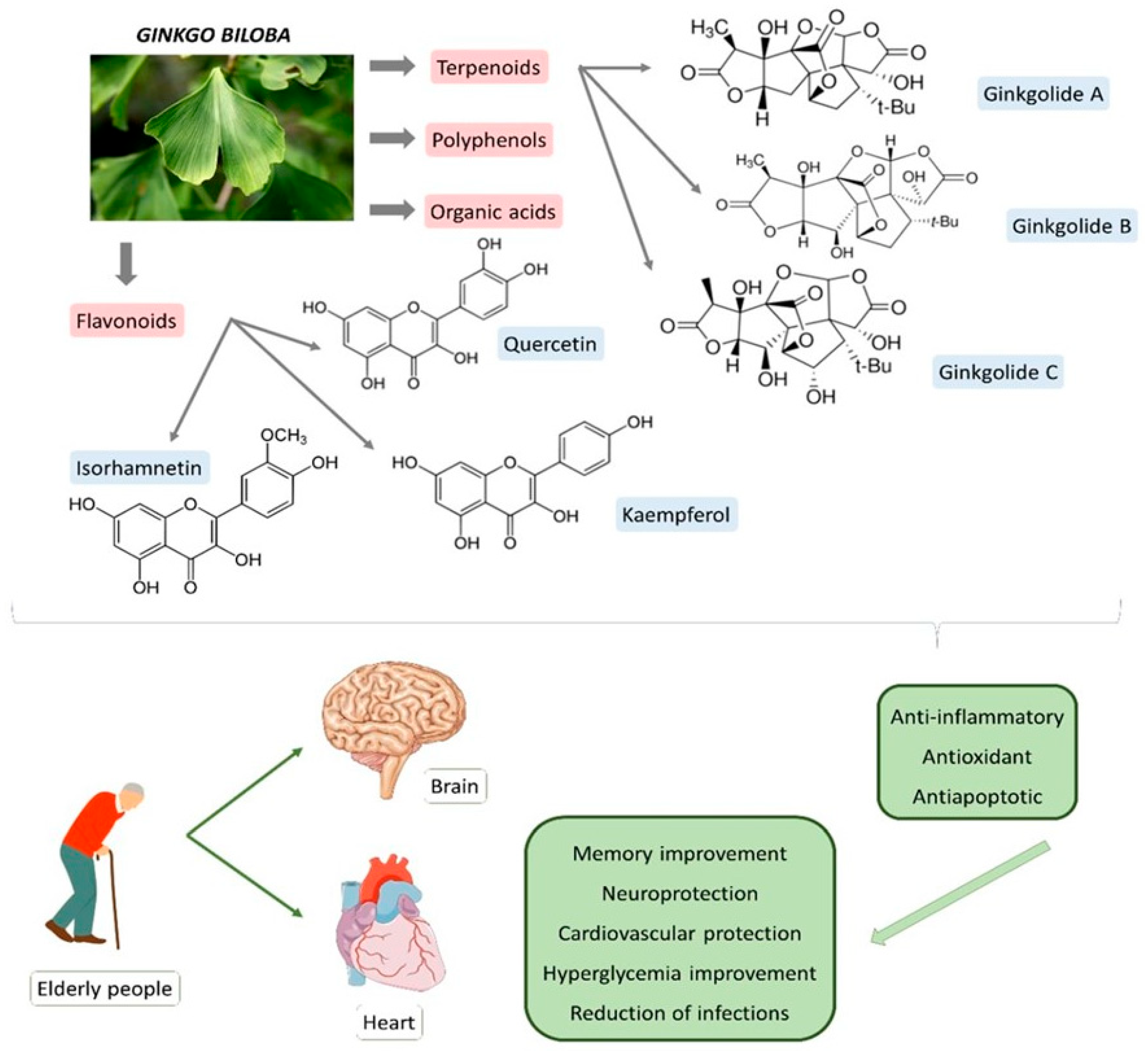 Antioxidants 11 00525 g001 Antioxidants 11 00525 g001