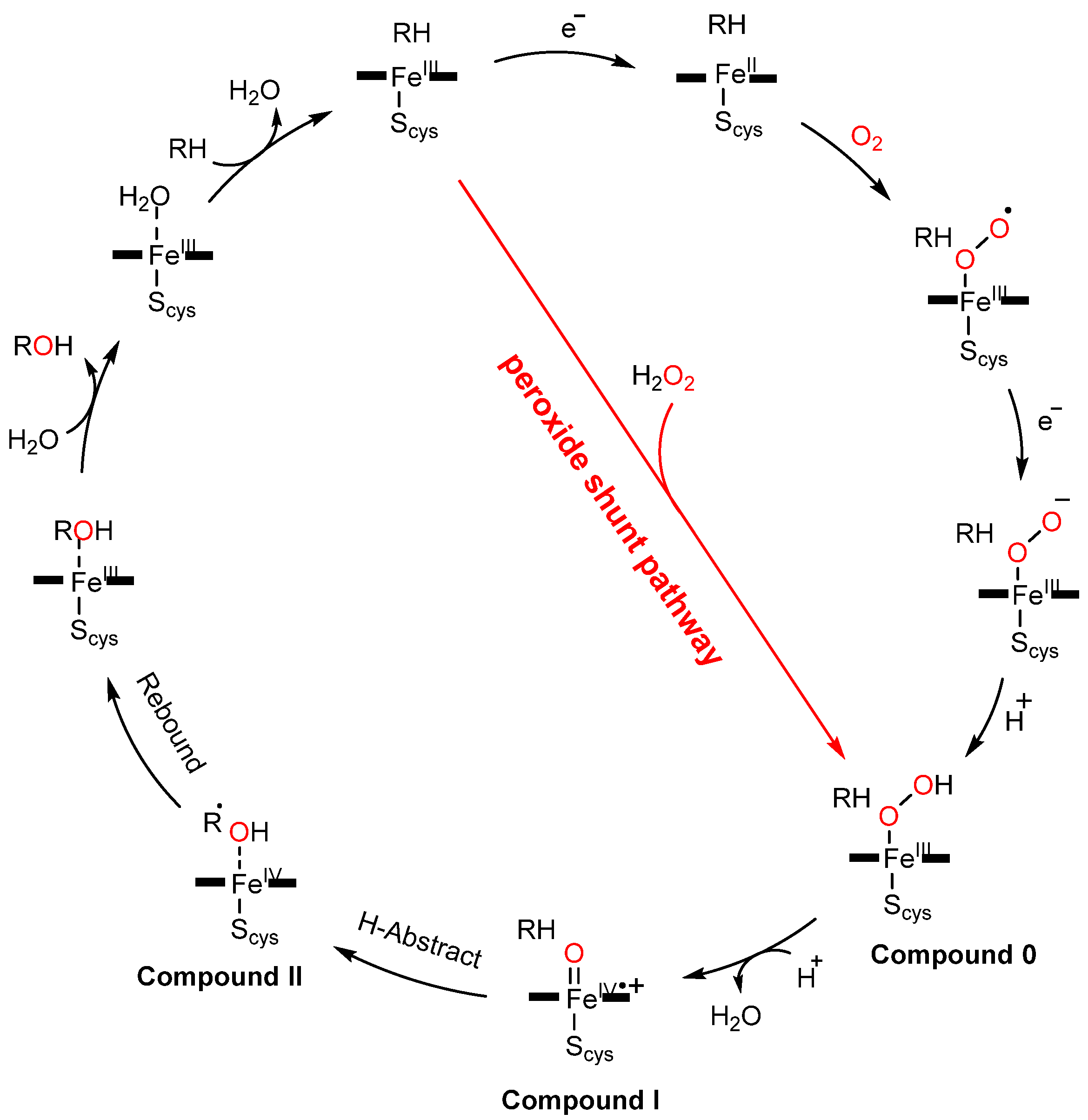 Antioxidants 11 00529 g001
