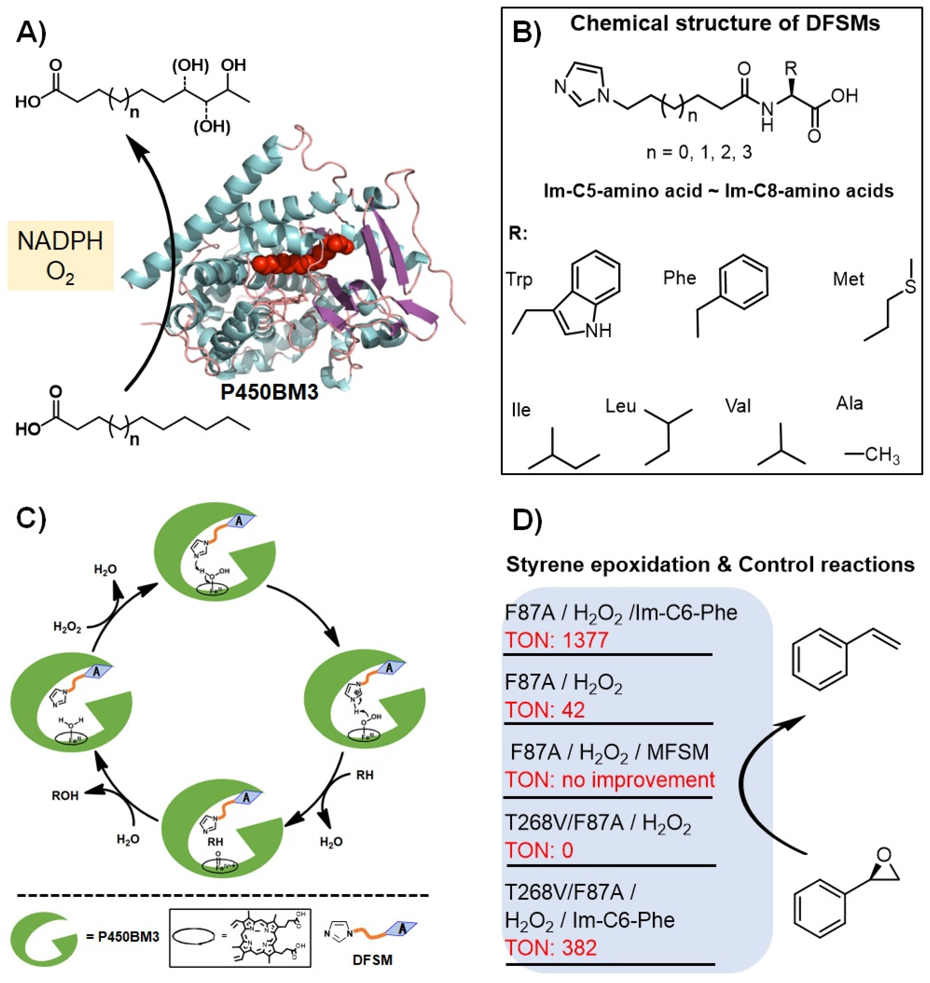 Antioxidants 11 00529 g003