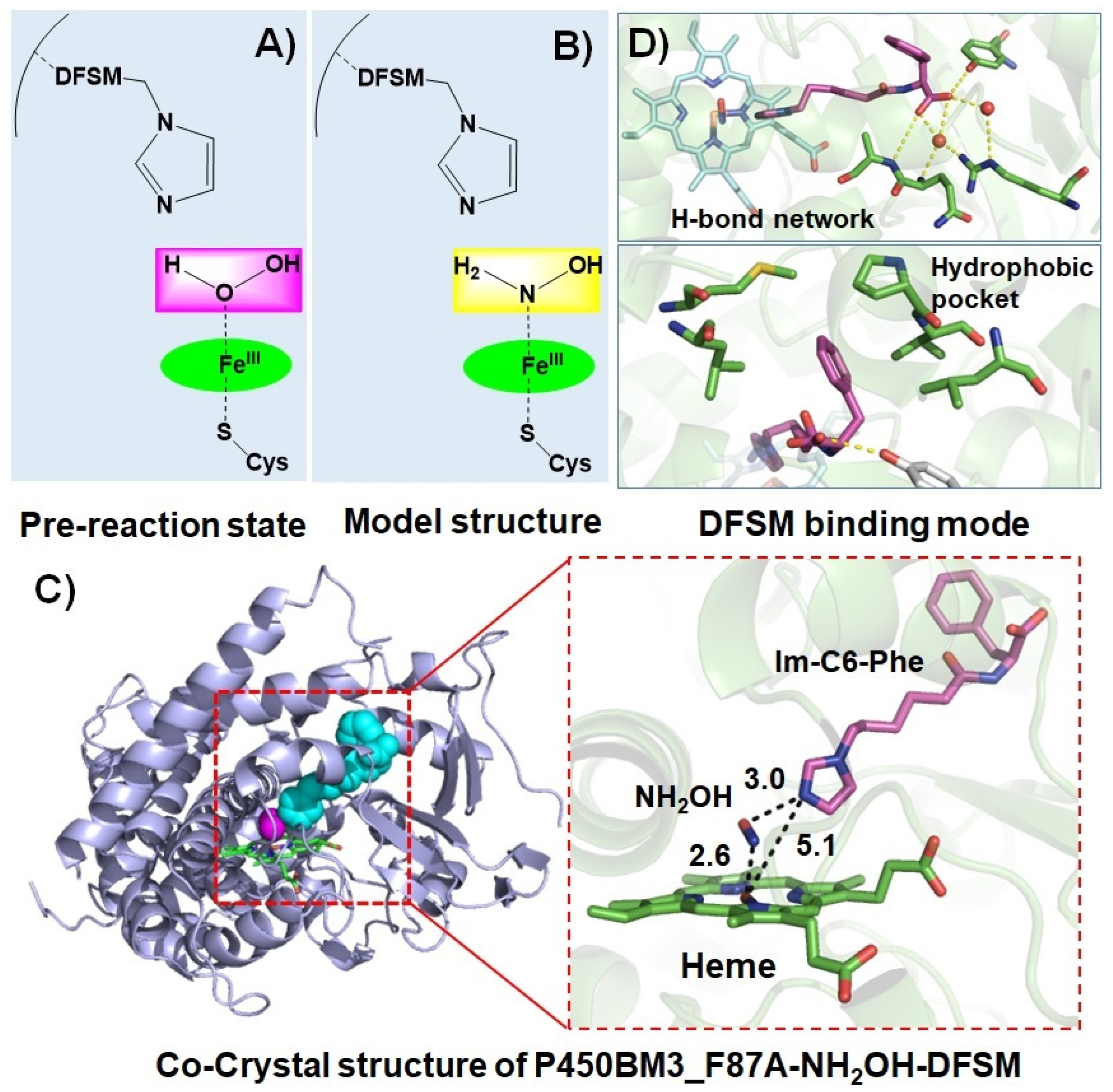 Antioxidants 11 00529 g004