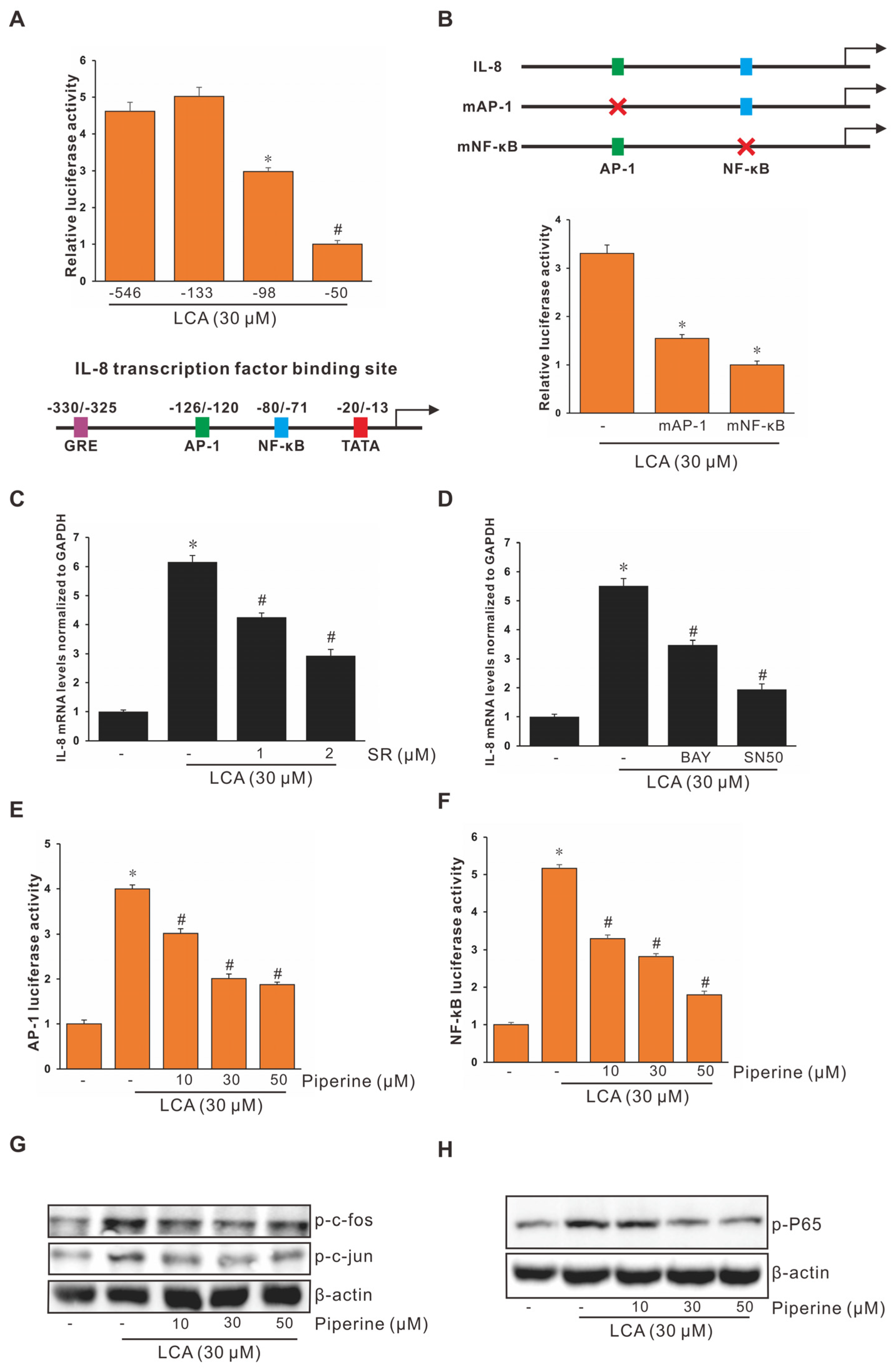 Antioxidants 11 00530 g002