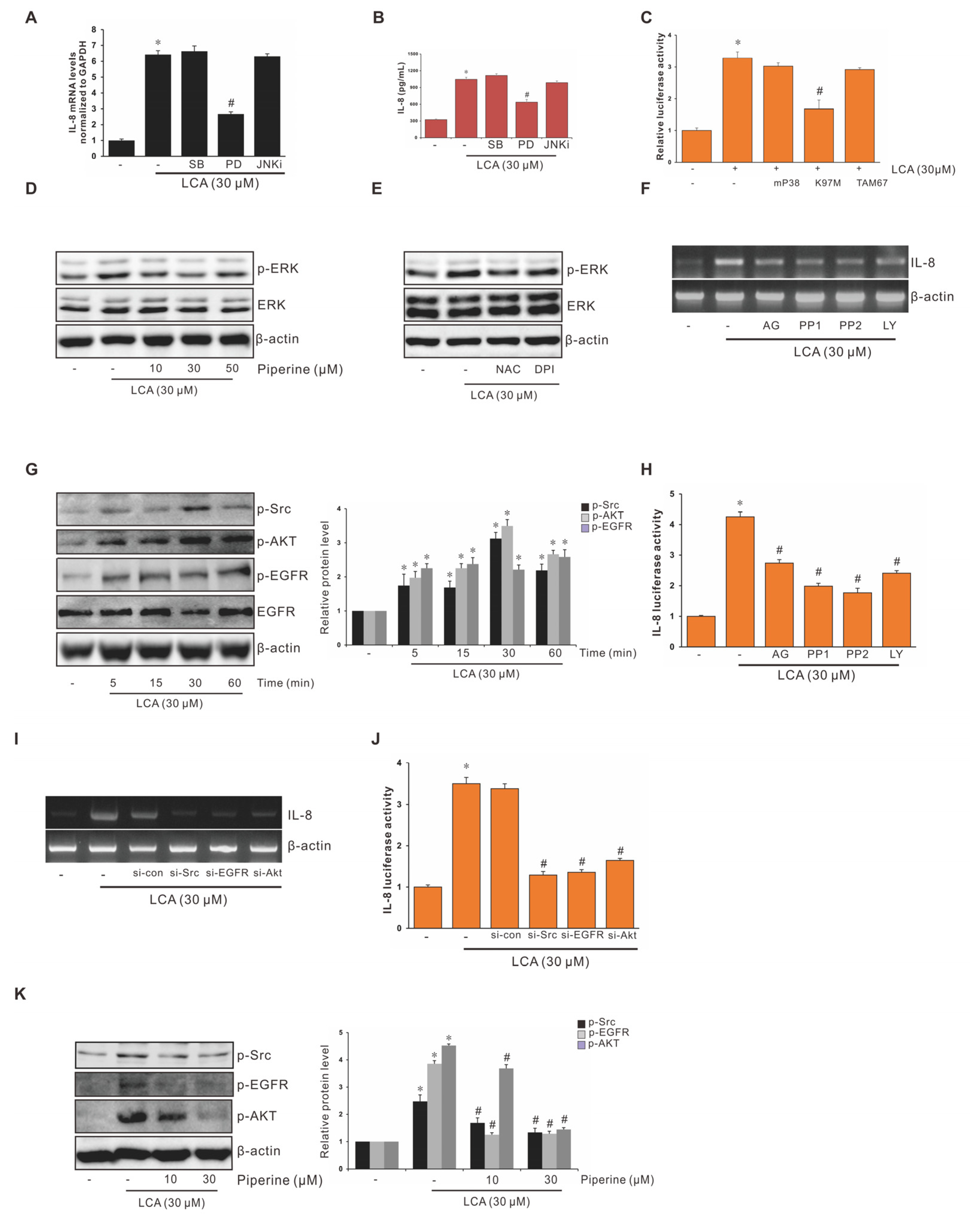 Antioxidants 11 00530 g003