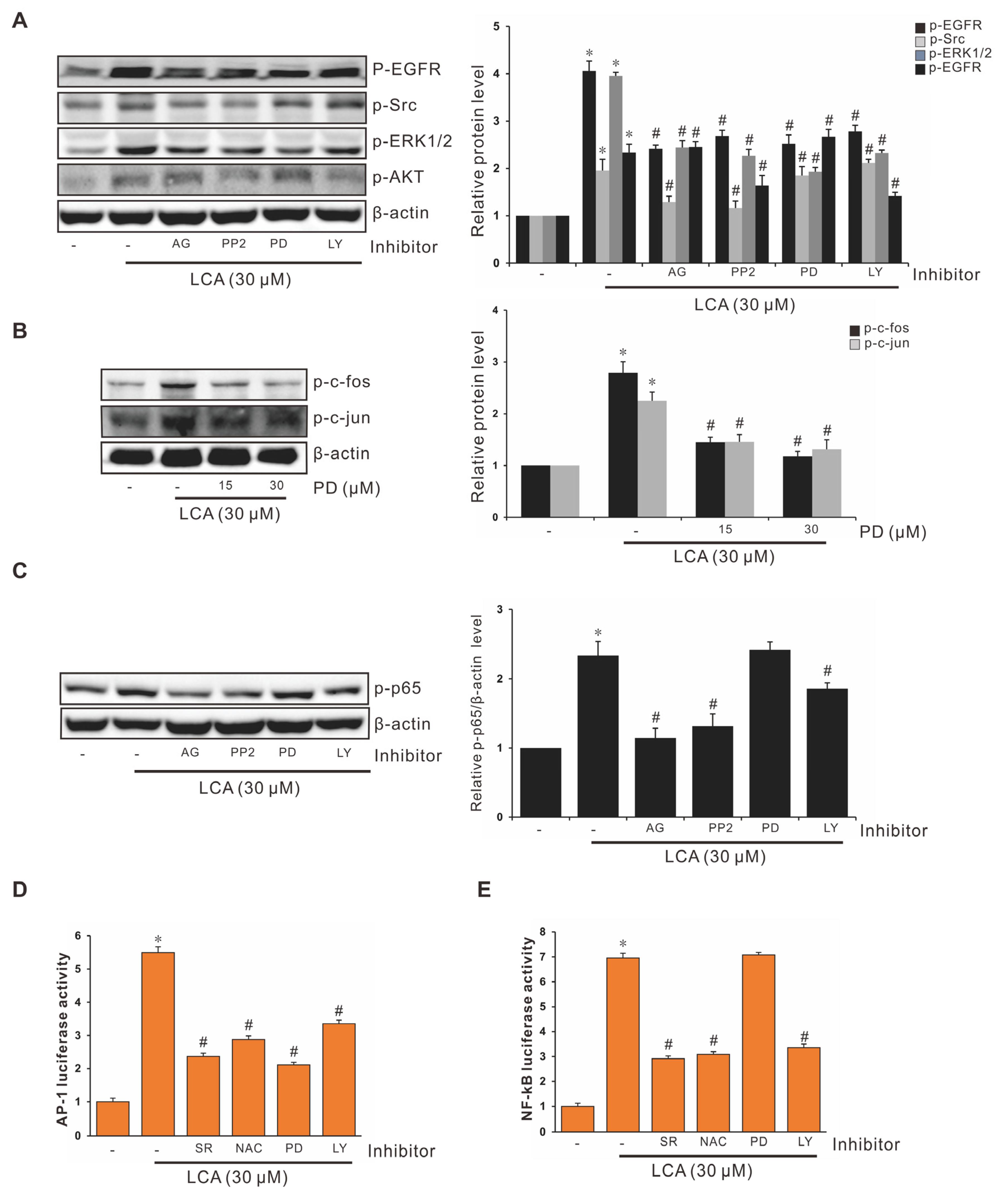 Antioxidants 11 00530 g005