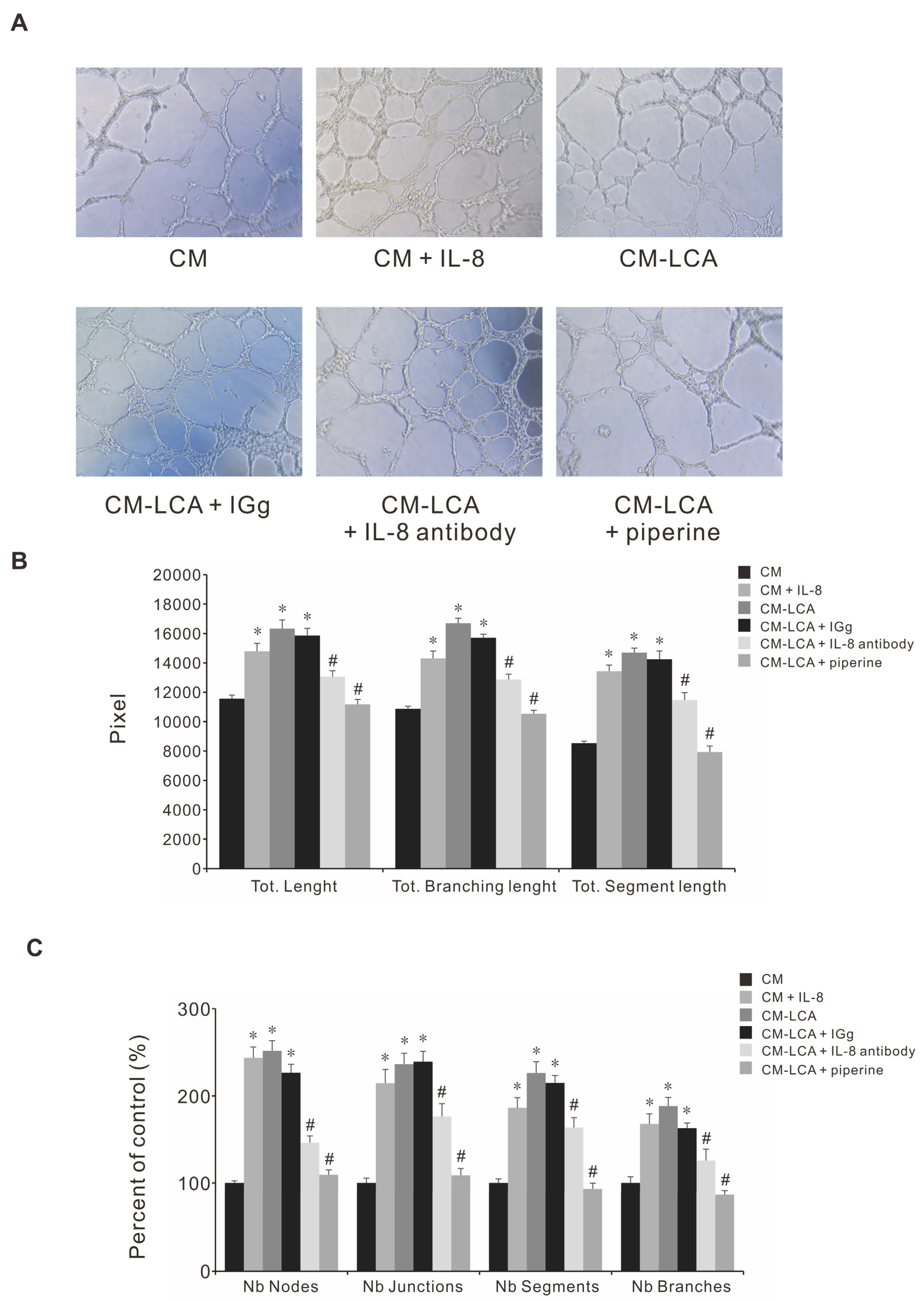 Antioxidants 11 00530 g006