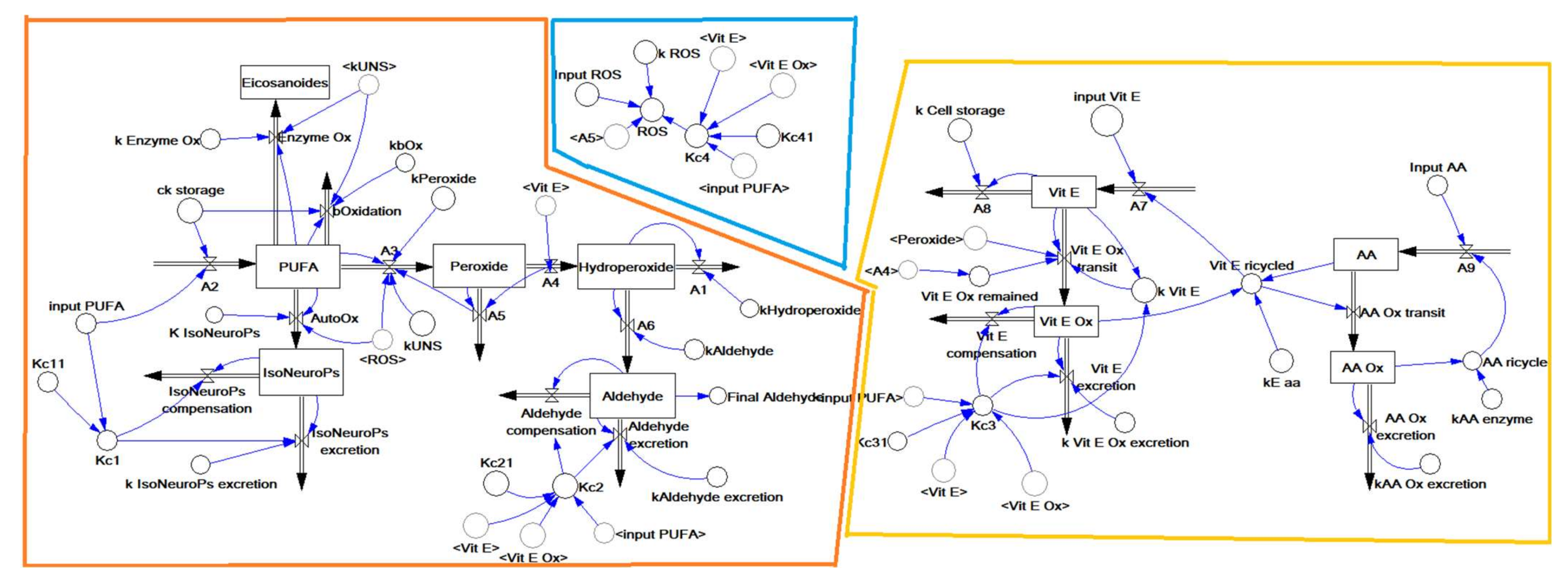 Antioxidants 11 00531 g002