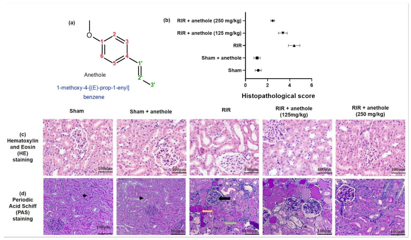 Antioxidants 11 00535 g001