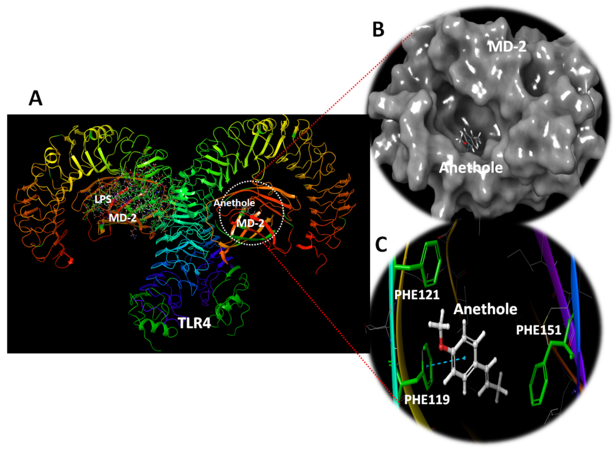 Antioxidants 11 00535 g007