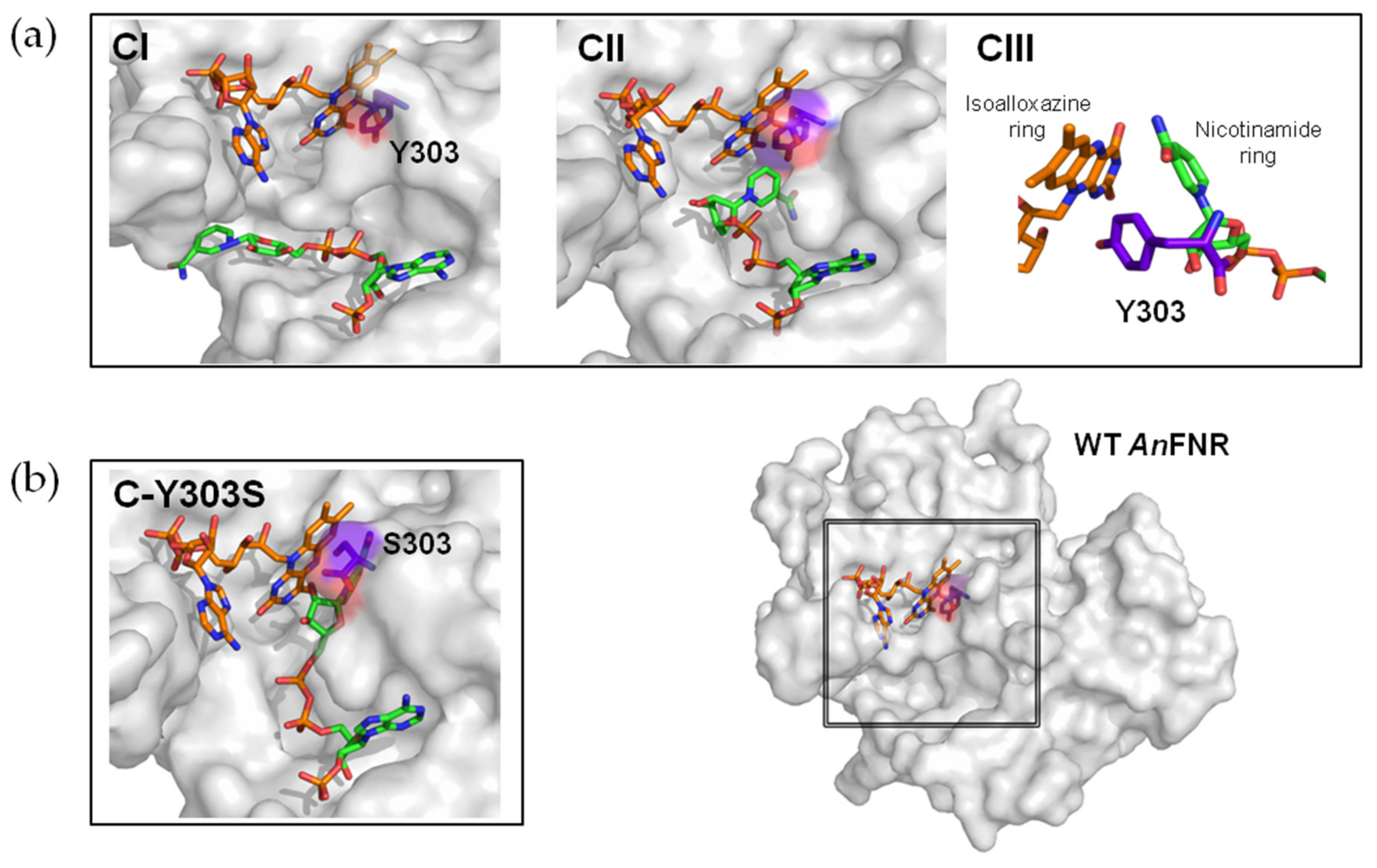 Antioxidants 11 00537 g001