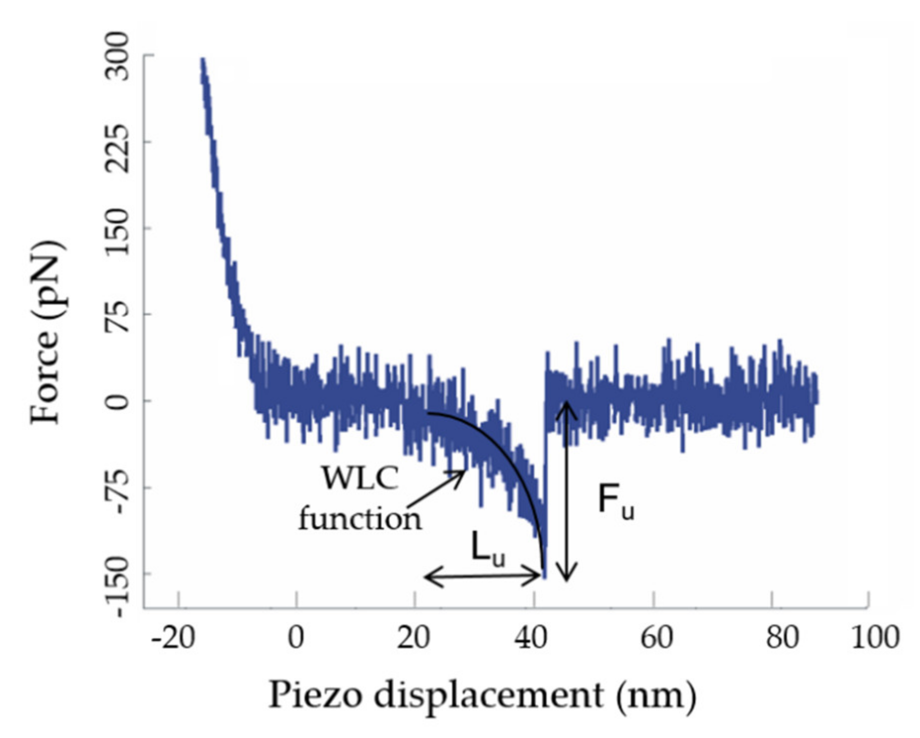 Antioxidants 11 00537 g004