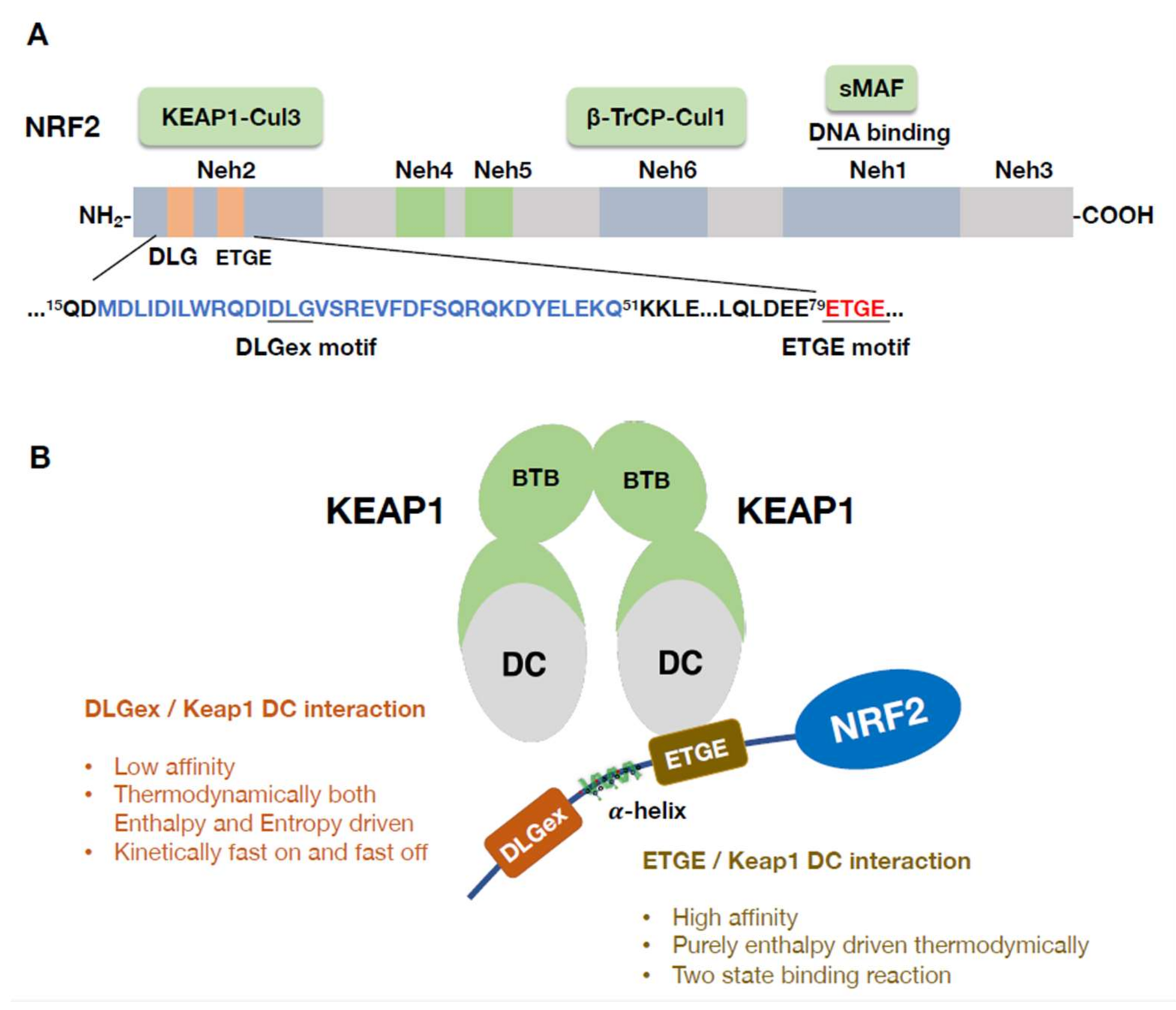 Antioxidants 11 00538 g003