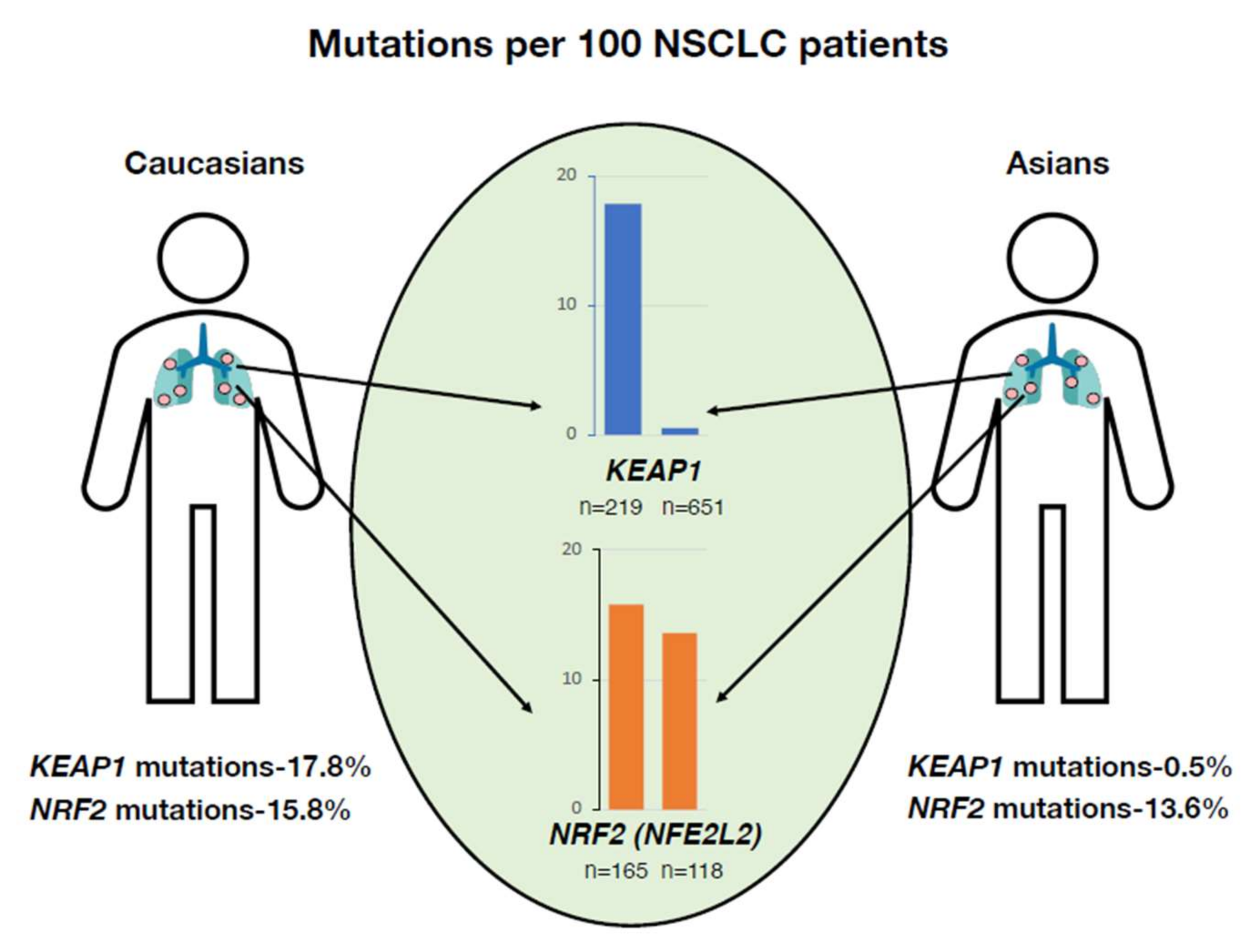Antioxidants 11 00538 g004