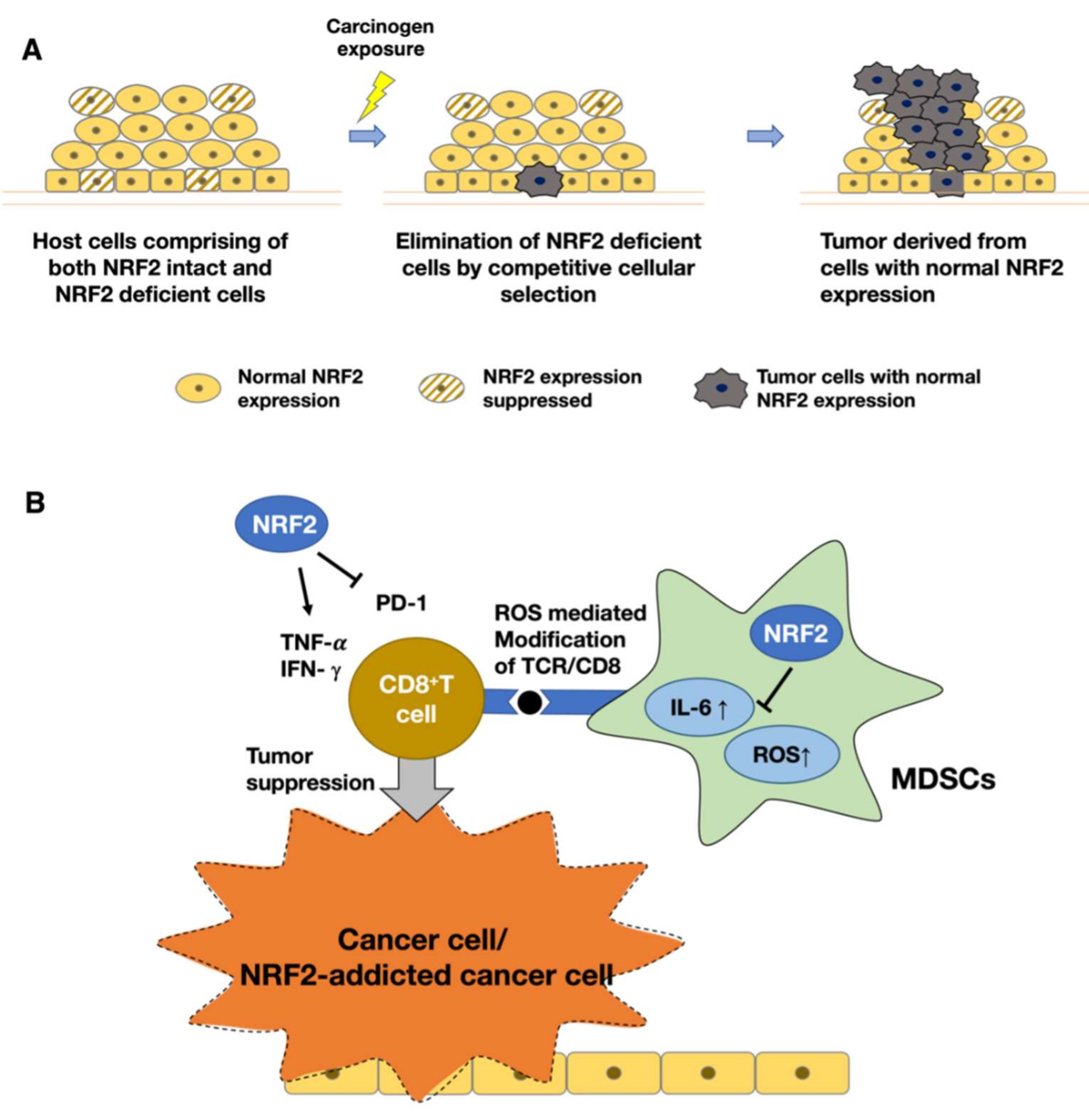 Antioxidants 11 00538 g005