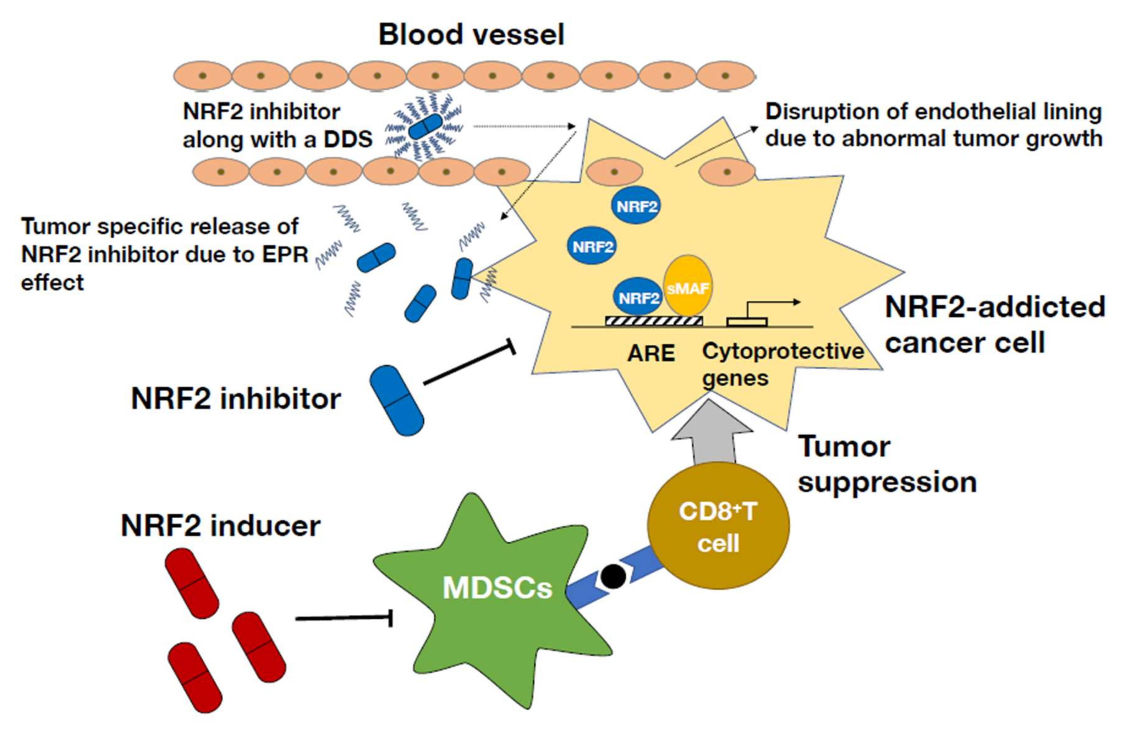 Antioxidants 11 00538 g006
