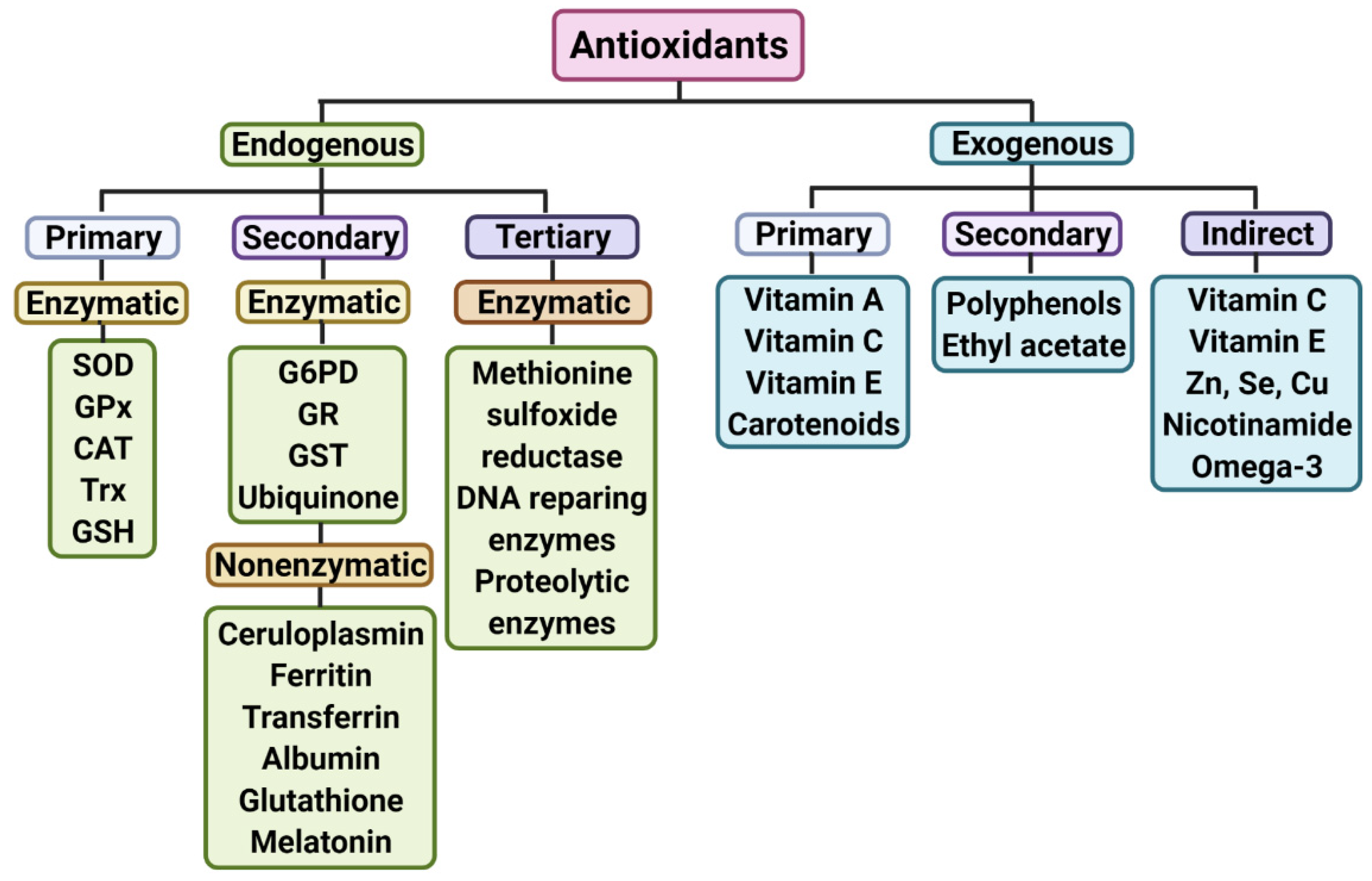 Antioxidants 11 00540 g001