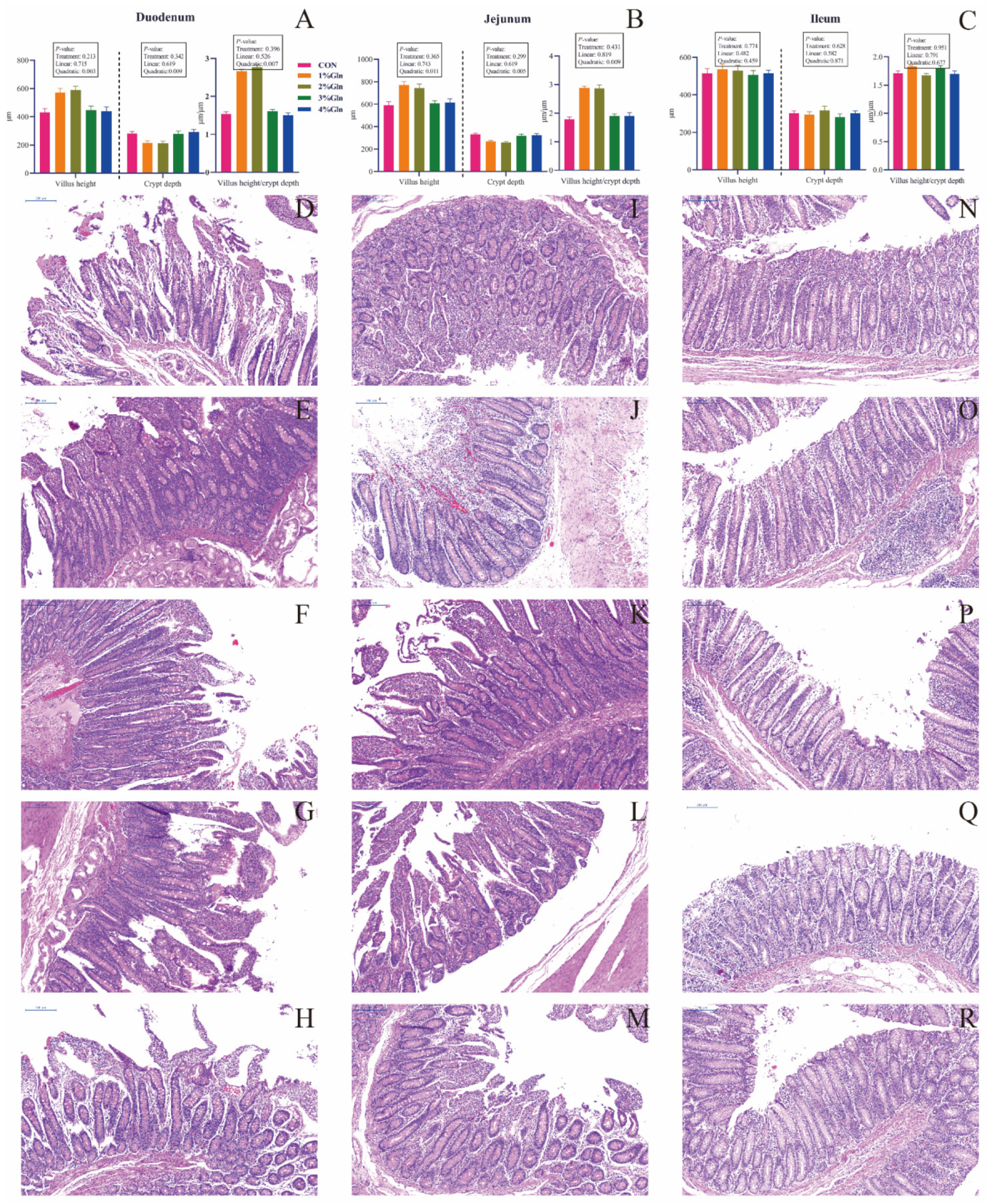Antioxidants 11 00542 g002