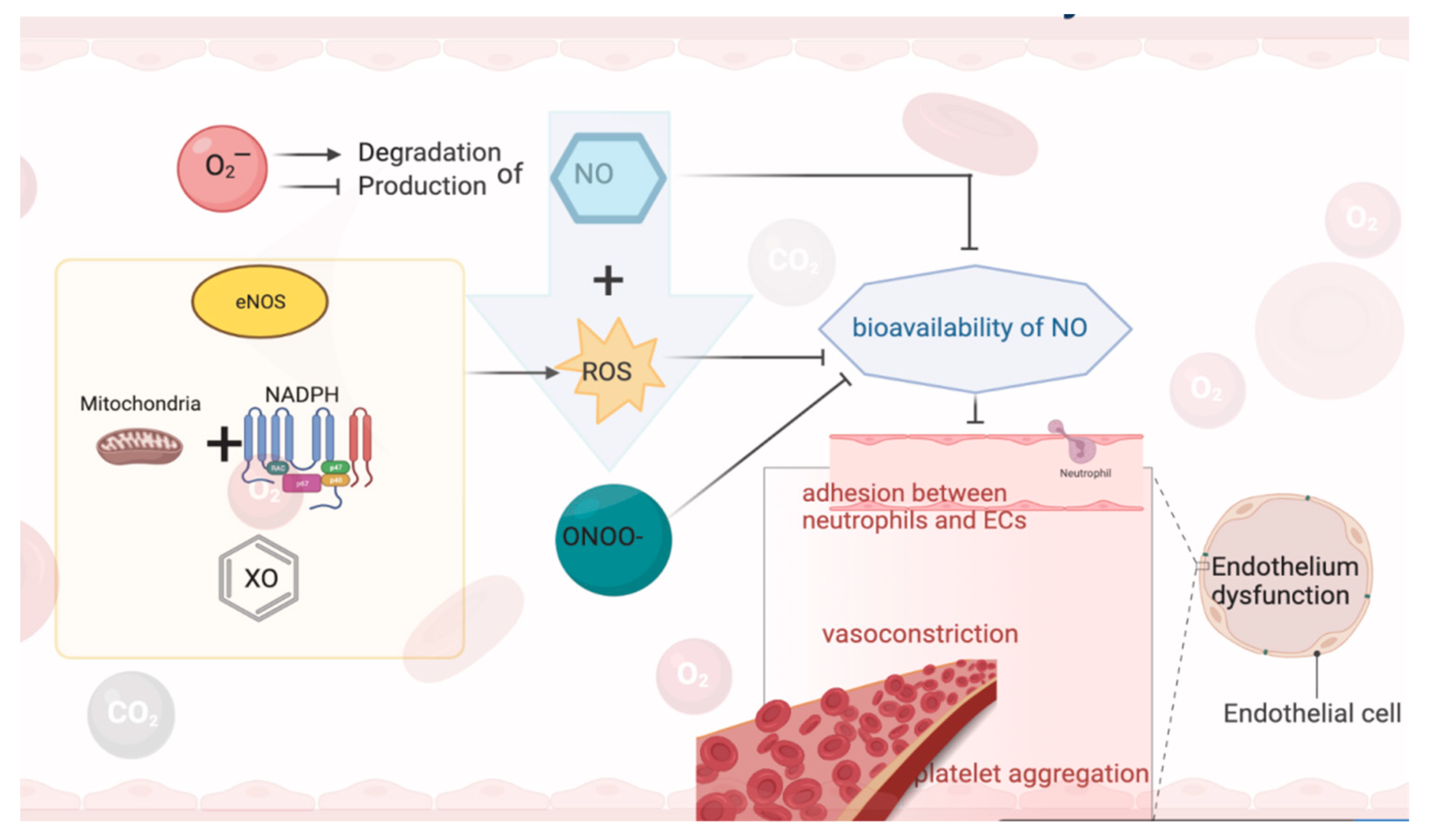Antioxidants 11 00543 g001
