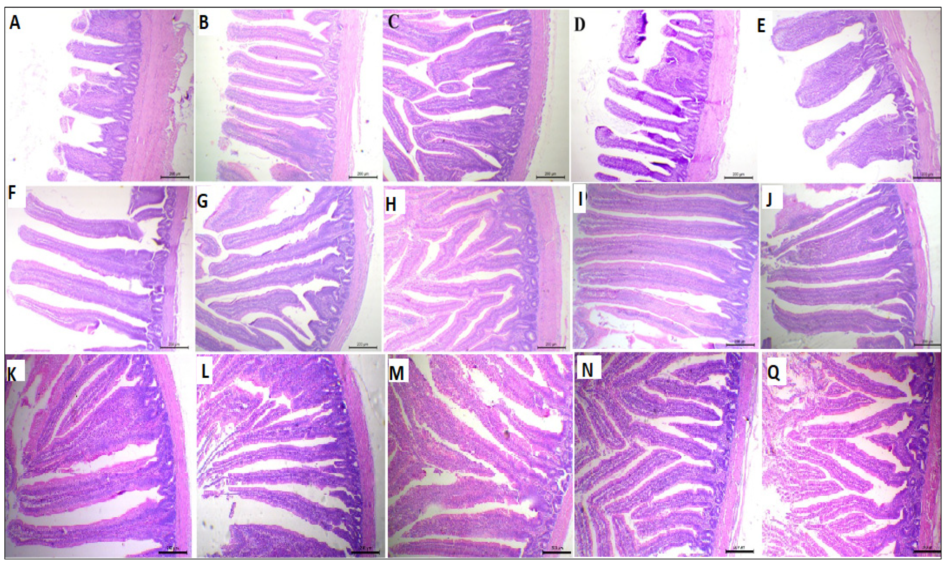 Antioxidants 11 00544 g002