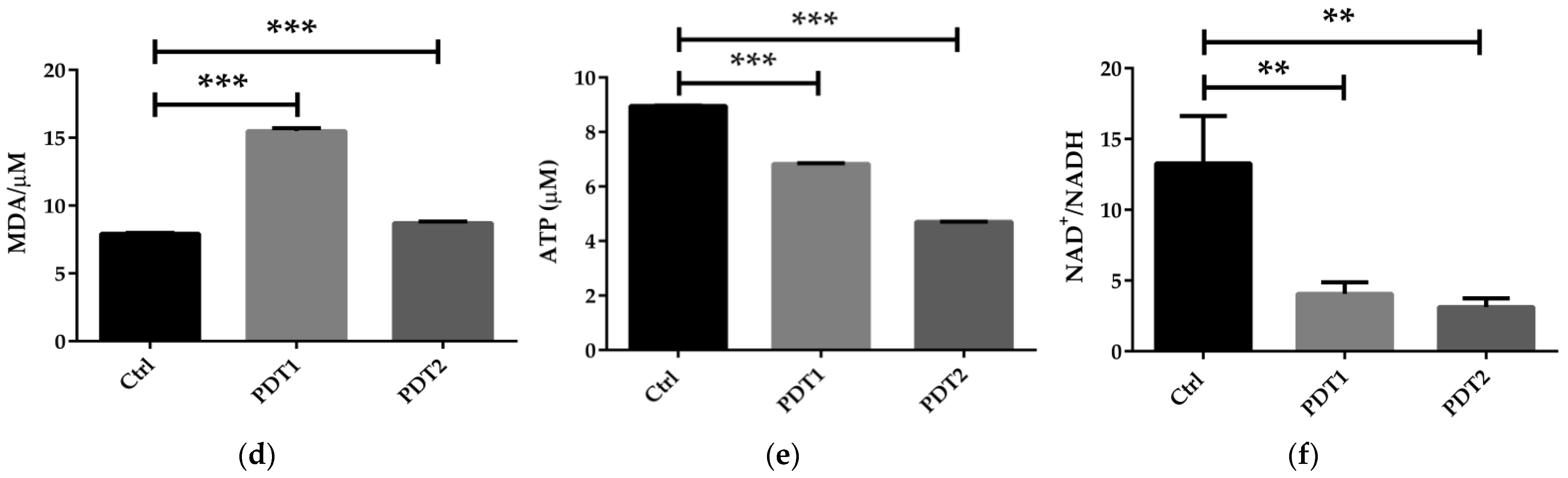 Antioxidants 11 00546 g002b Antioxidants 11 00546 g002b