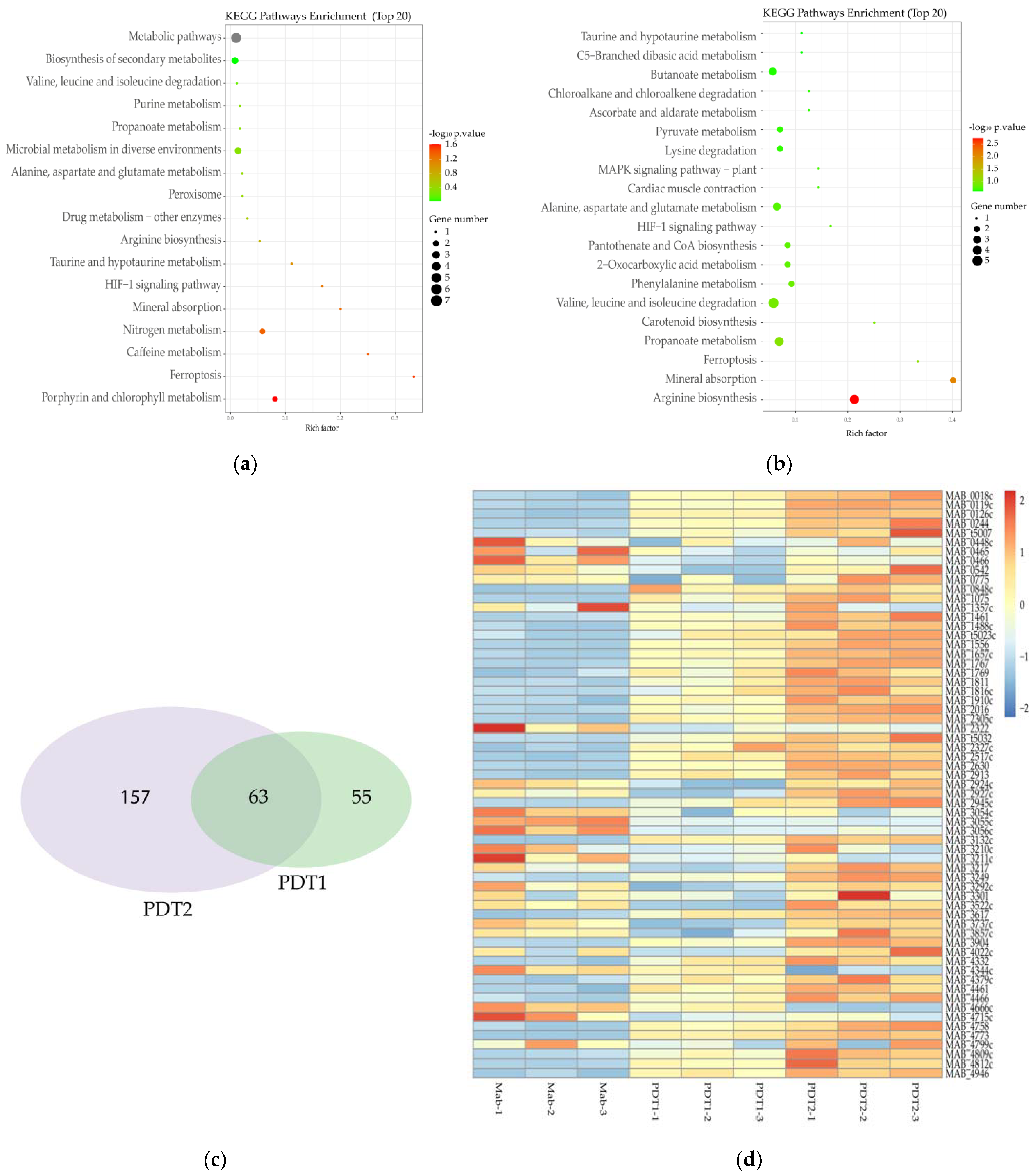 Antioxidants 11 00546 g004 Antioxidants 11 00546 g004