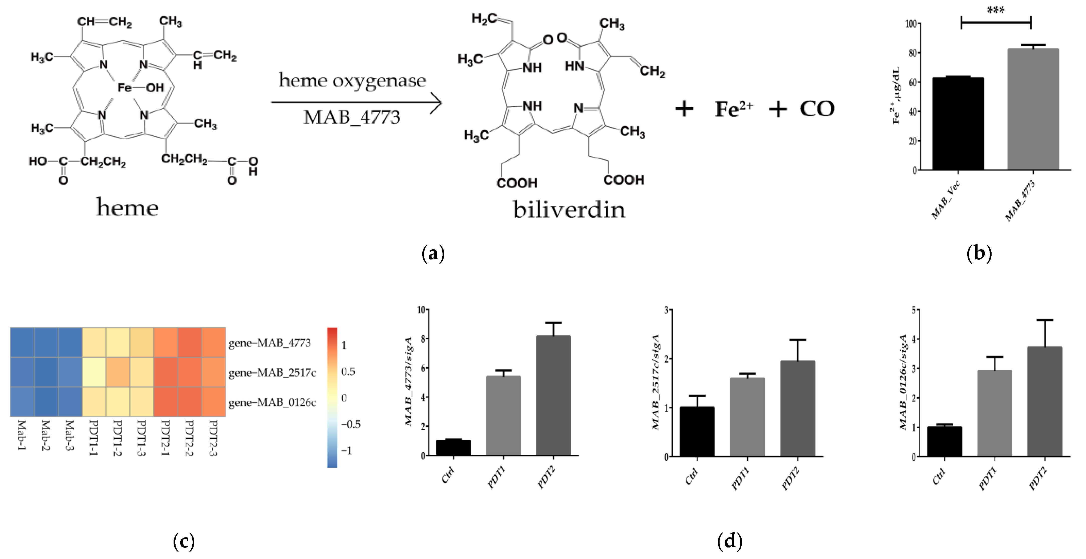 Antioxidants 11 00546 g005 Antioxidants 11 00546 g005