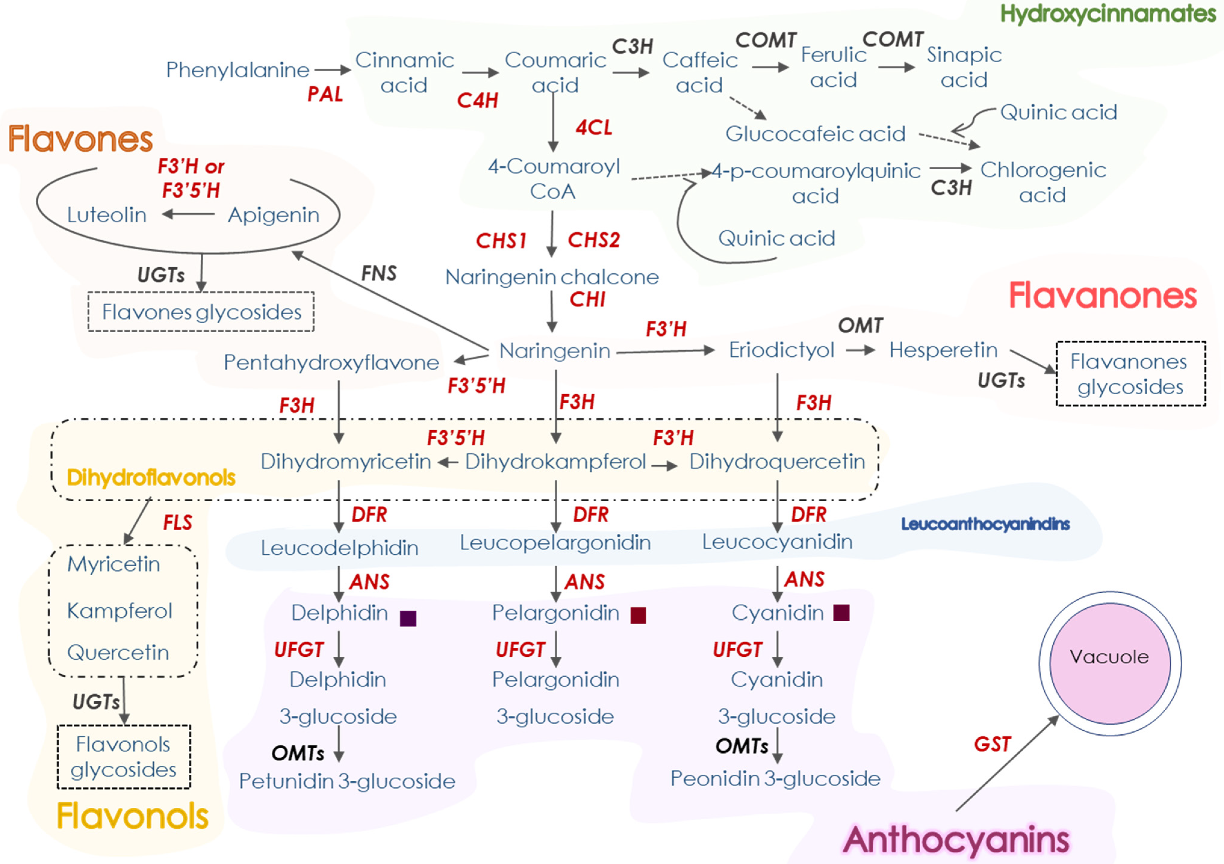 Antioxidants 11 00547 g001