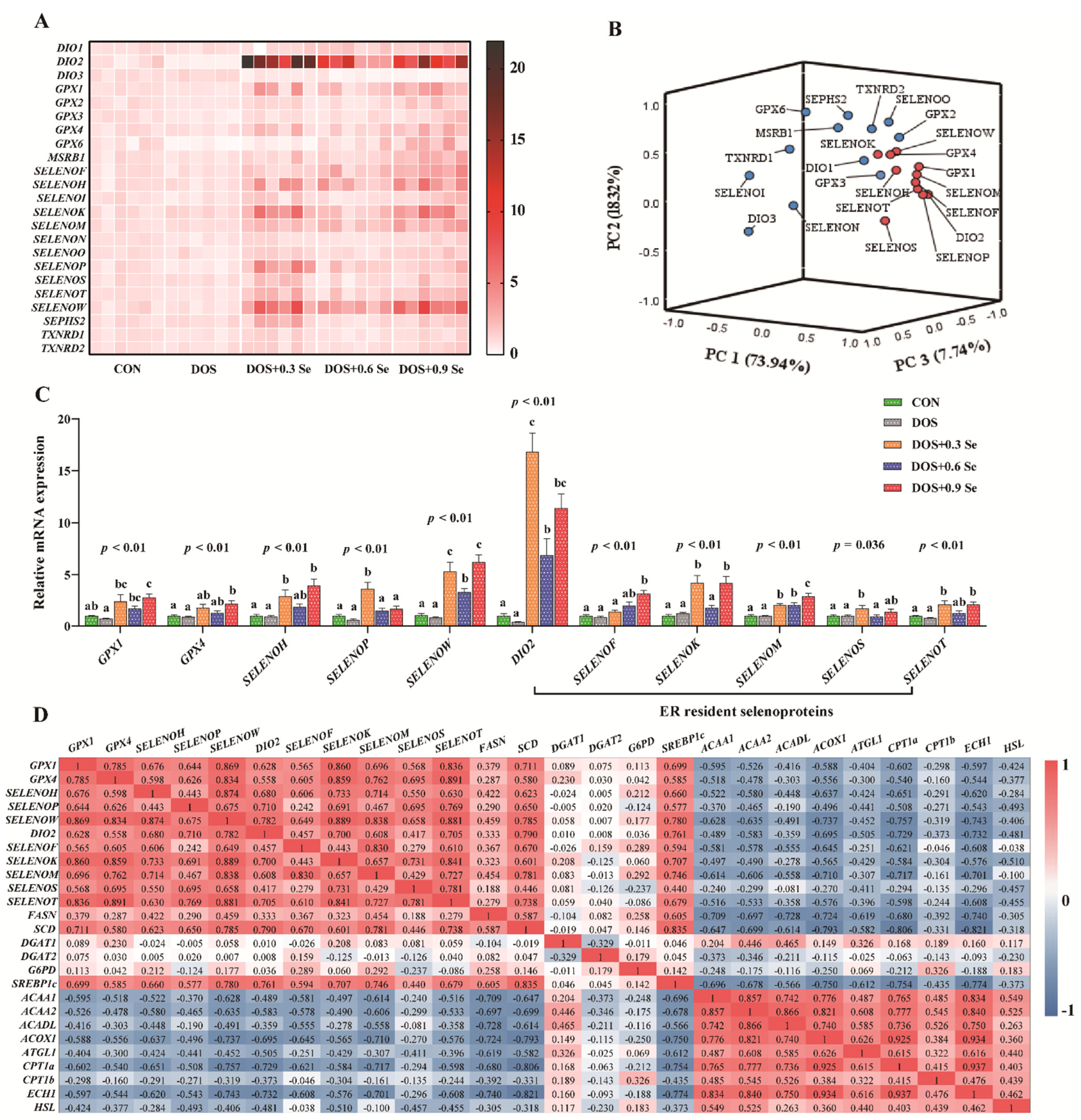 Antioxidants 11 00552 g004