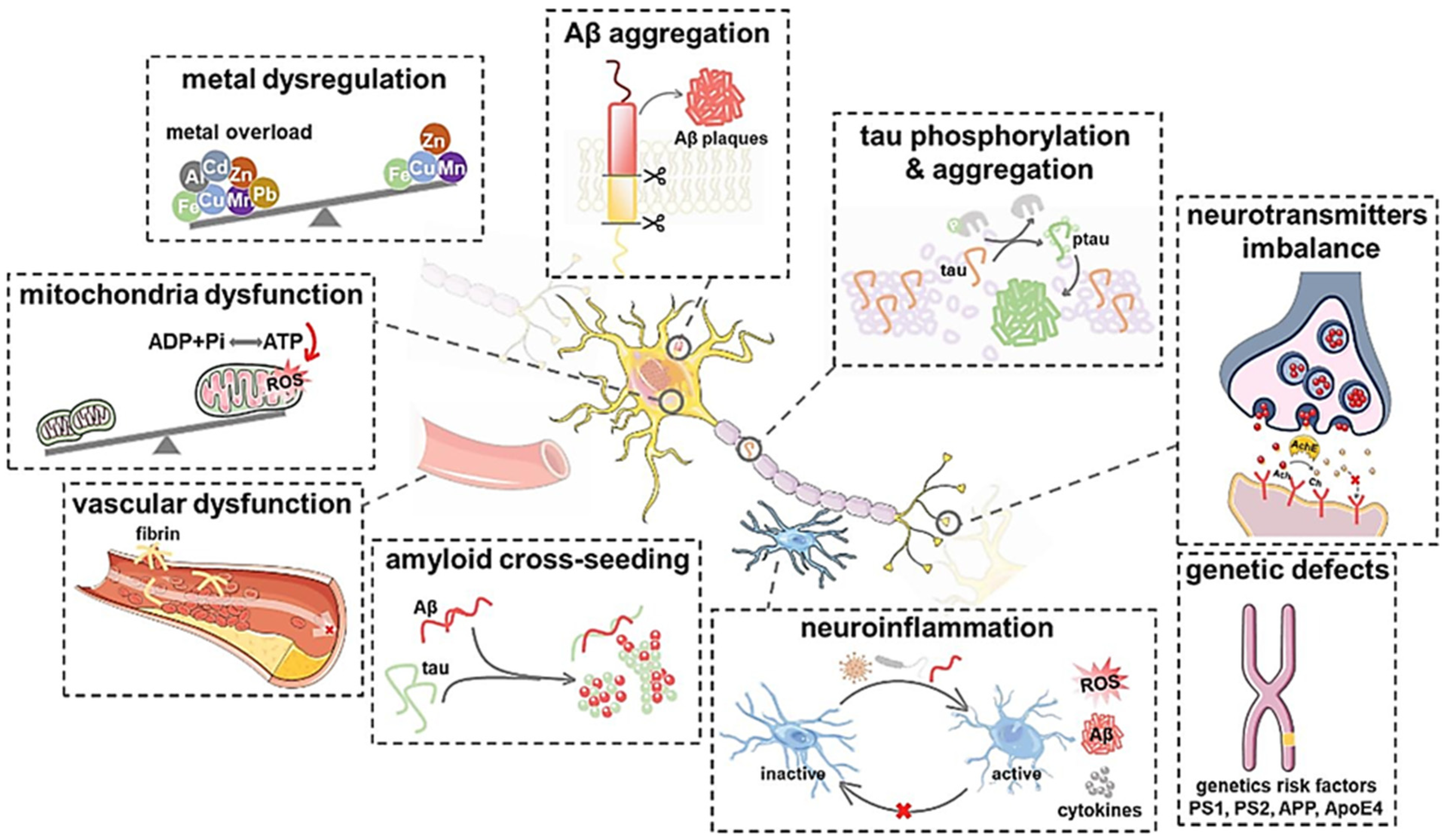 Antioxidants 11 00554 g001