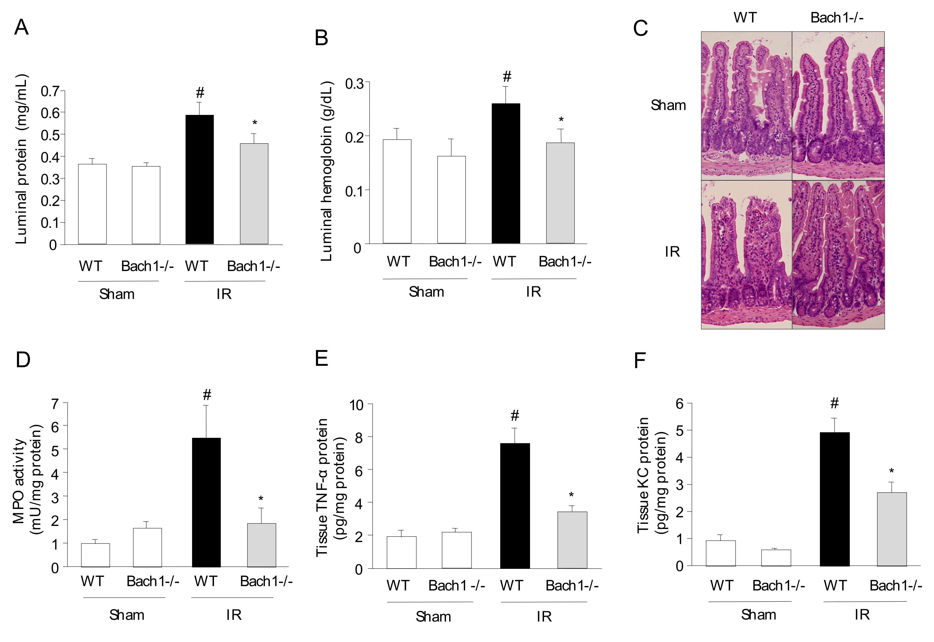 Antioxidants 11 00559 g001