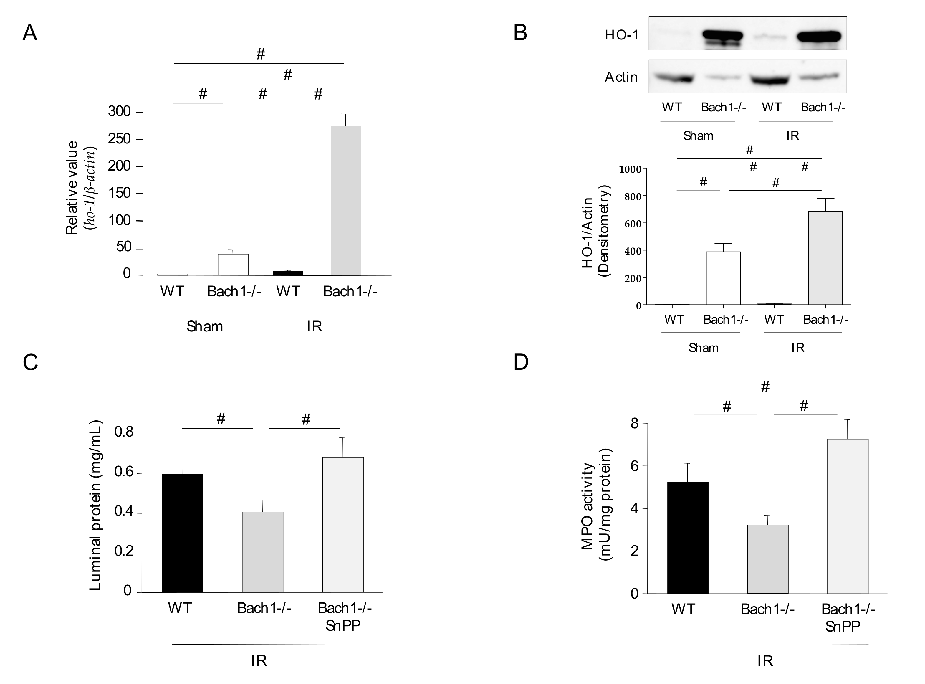 Antioxidants 11 00559 g002