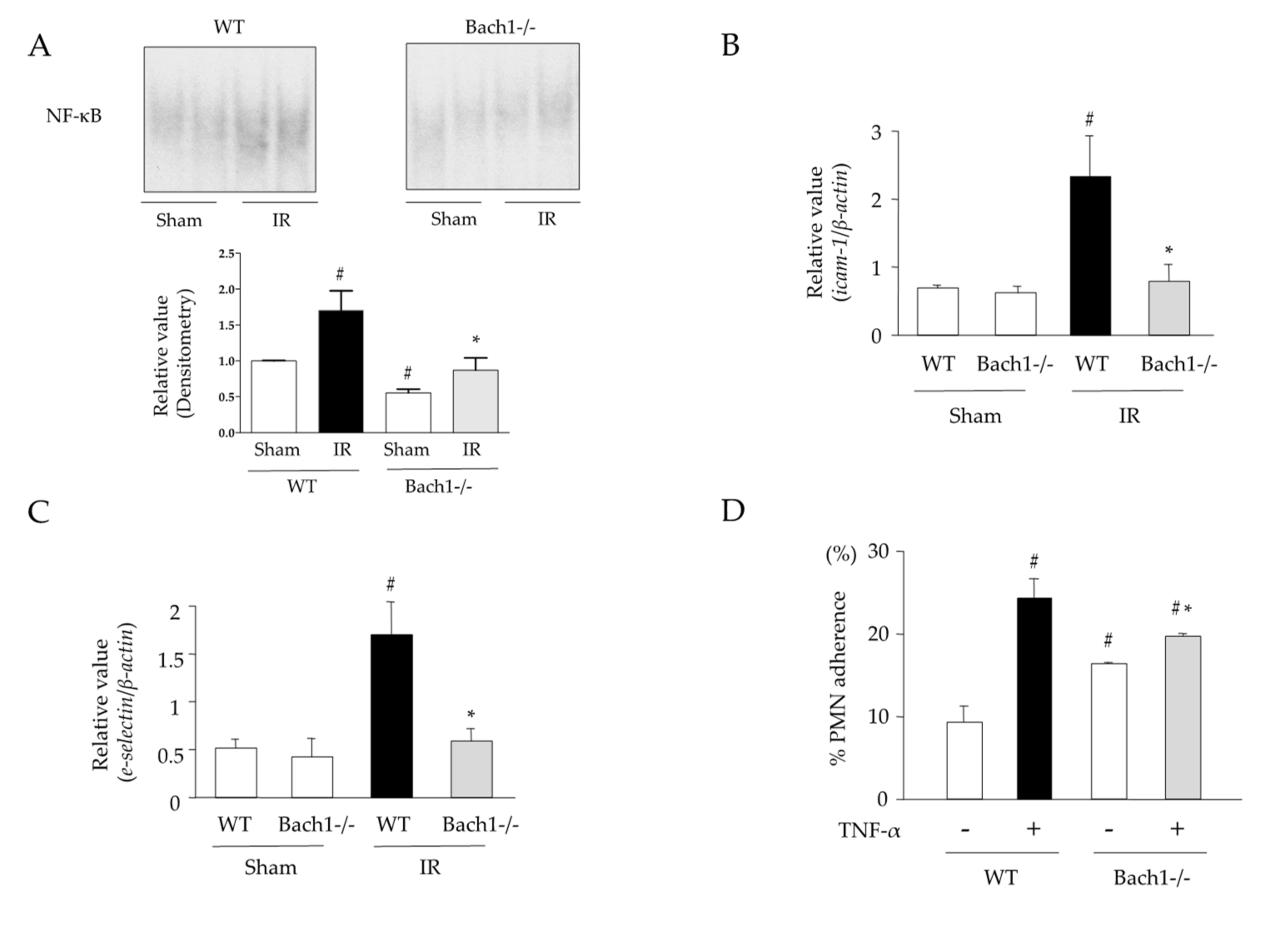 Antioxidants 11 00559 g003