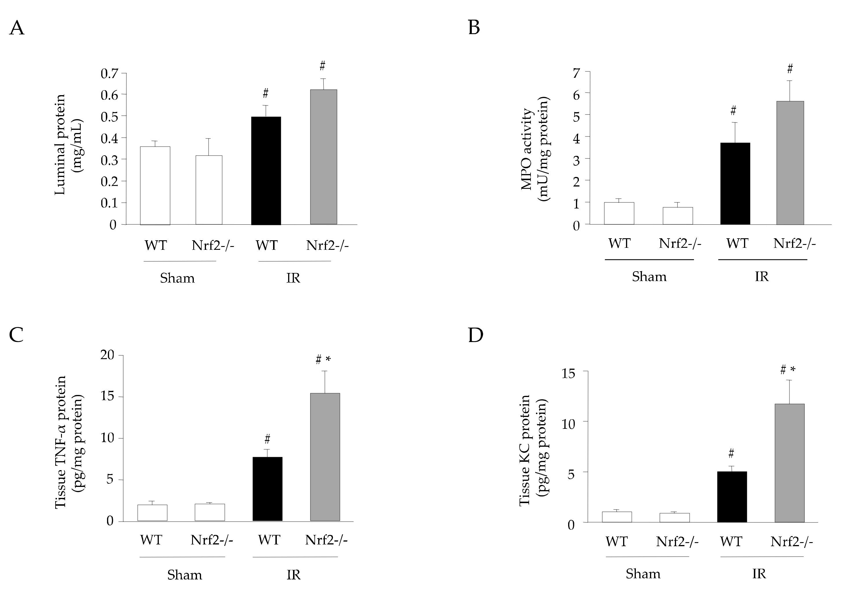 Antioxidants 11 00559 g004