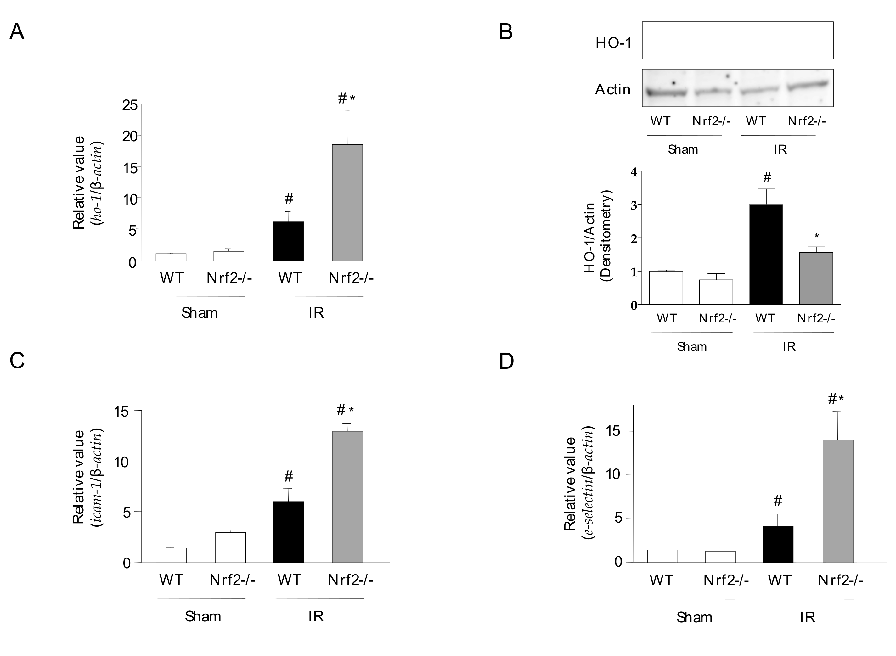 Antioxidants 11 00559 g005