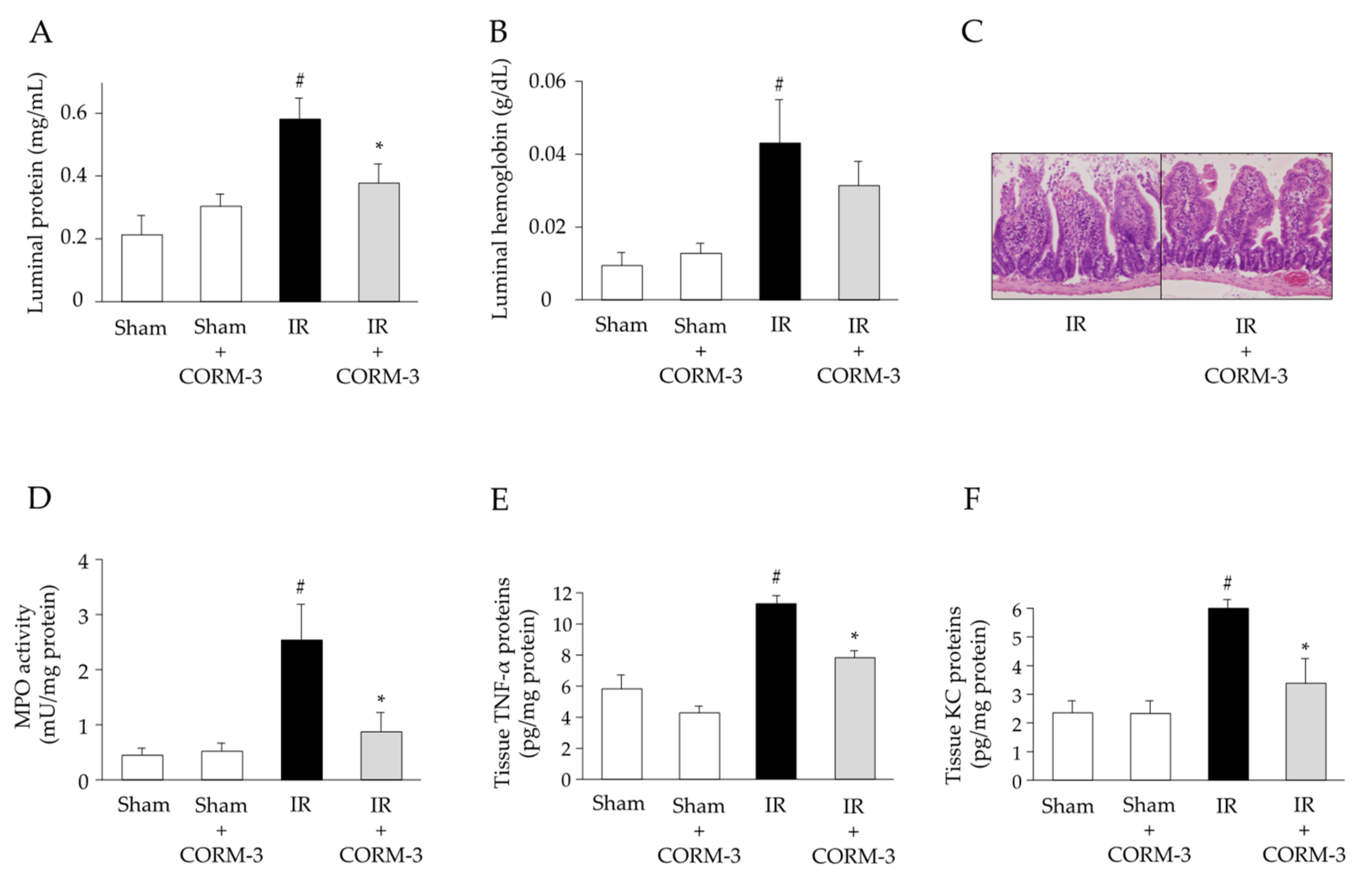Antioxidants 11 00559 g006