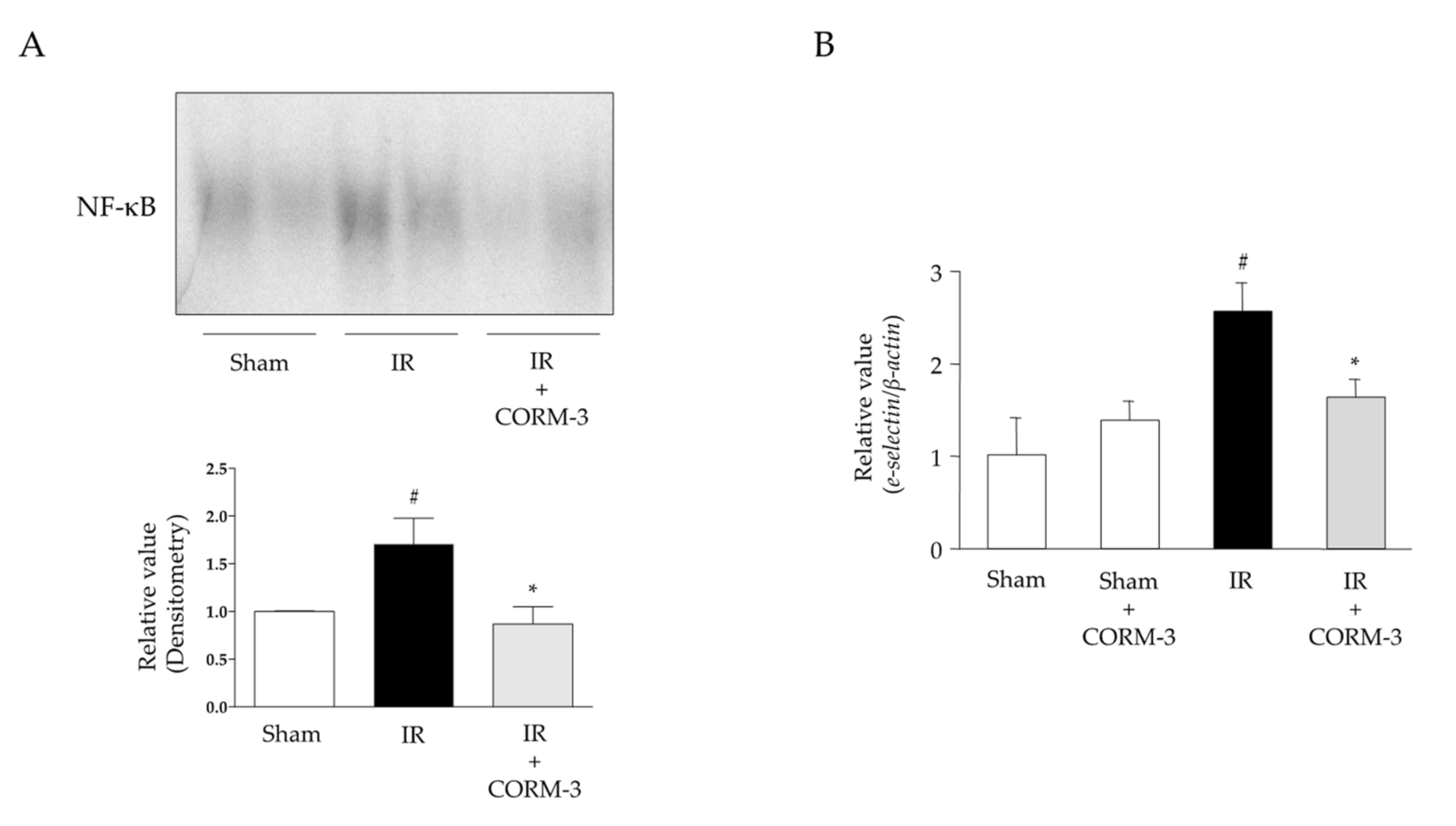 Antioxidants 11 00559 g007
