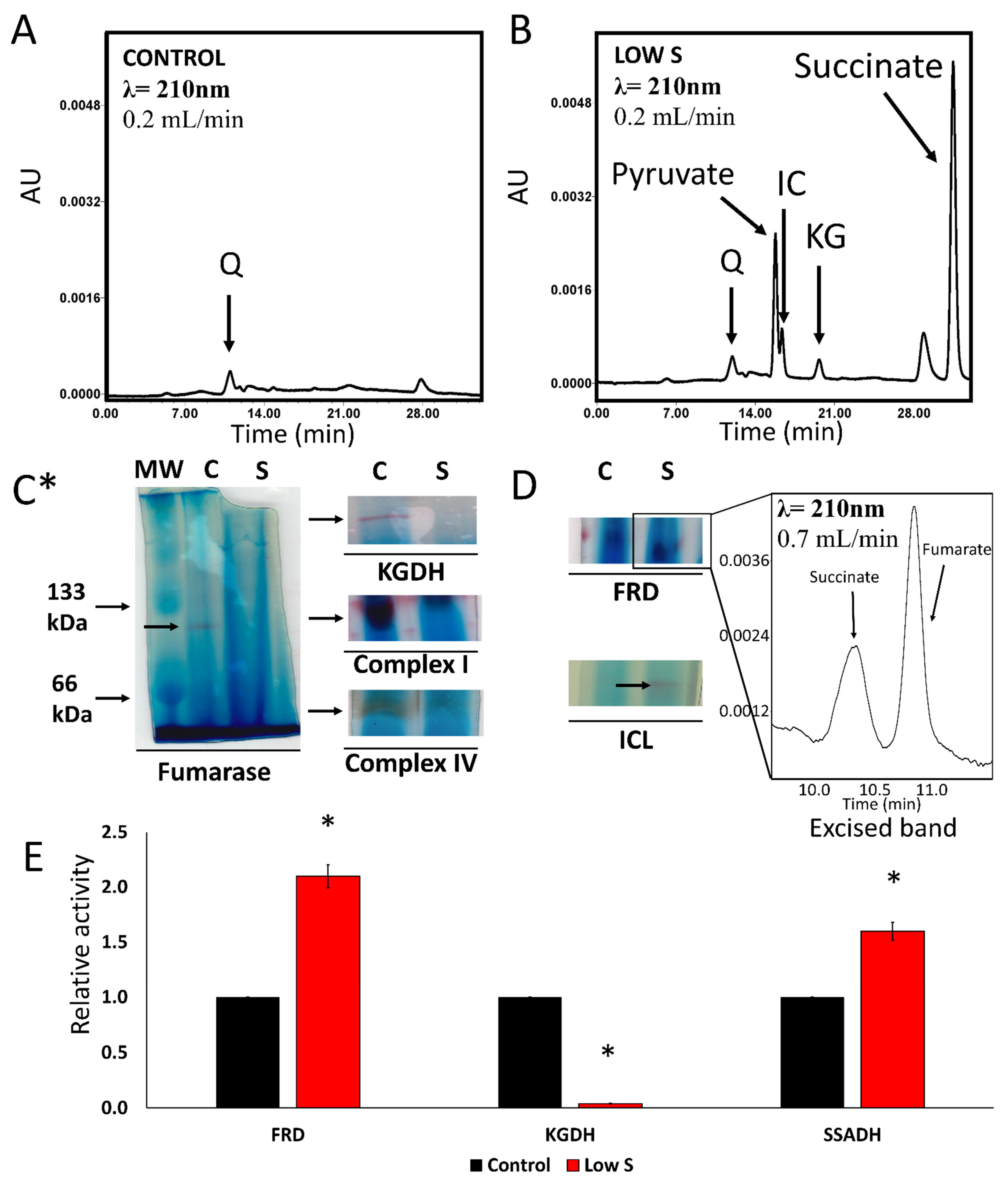 Antioxidants 11 00560 g001